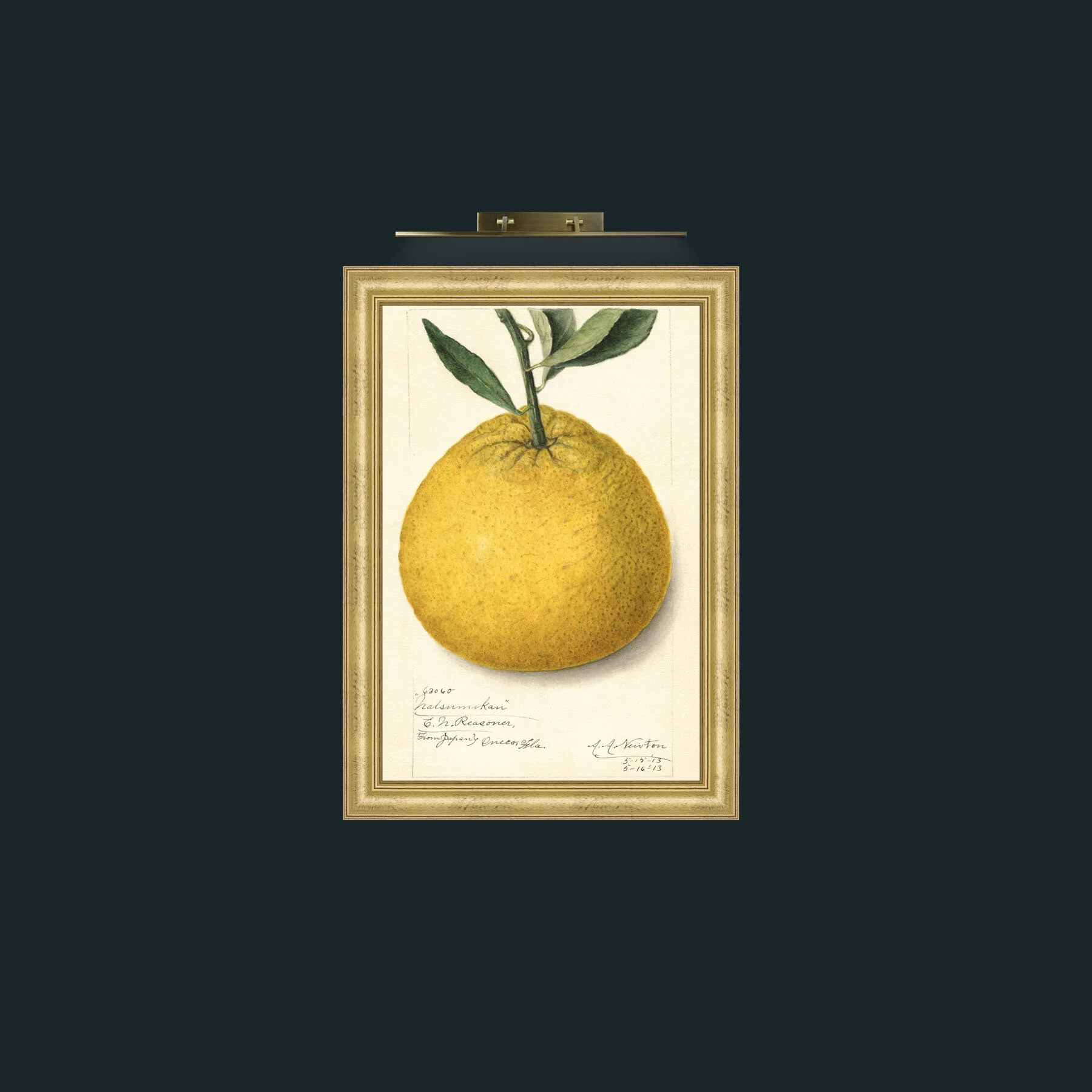 Art-Natsumikan-Frame-9WideGilt.jpg