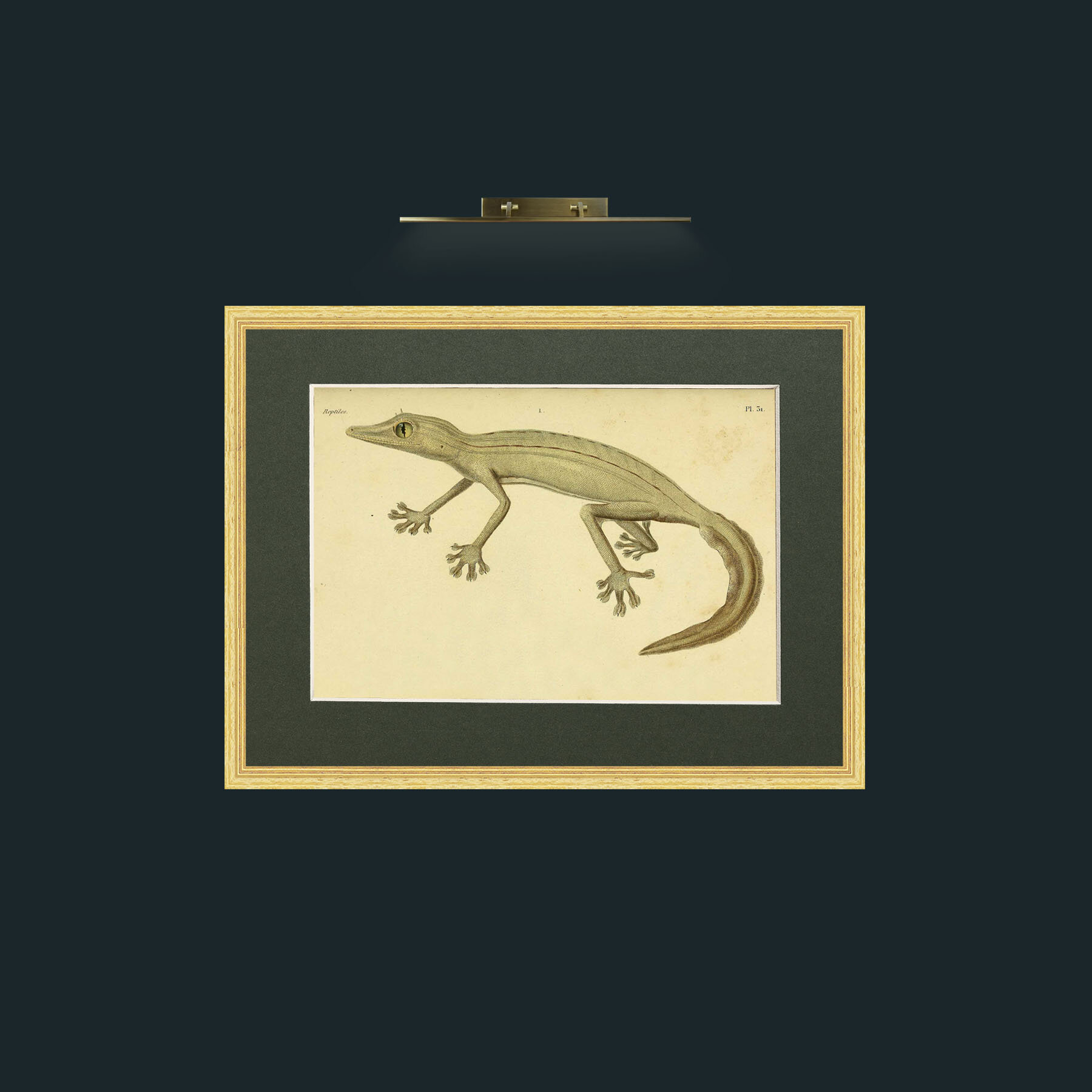 Art-Ptyodactyle Raye-Frame-4BevelledGilt-Mount-2Green.jpg