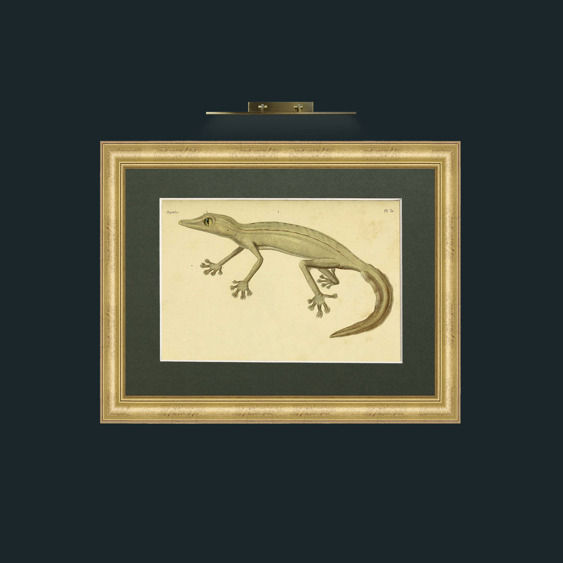 Art-Ptyodactyle Raye-Frame-9WideGilt-Mount-2Green.jpg