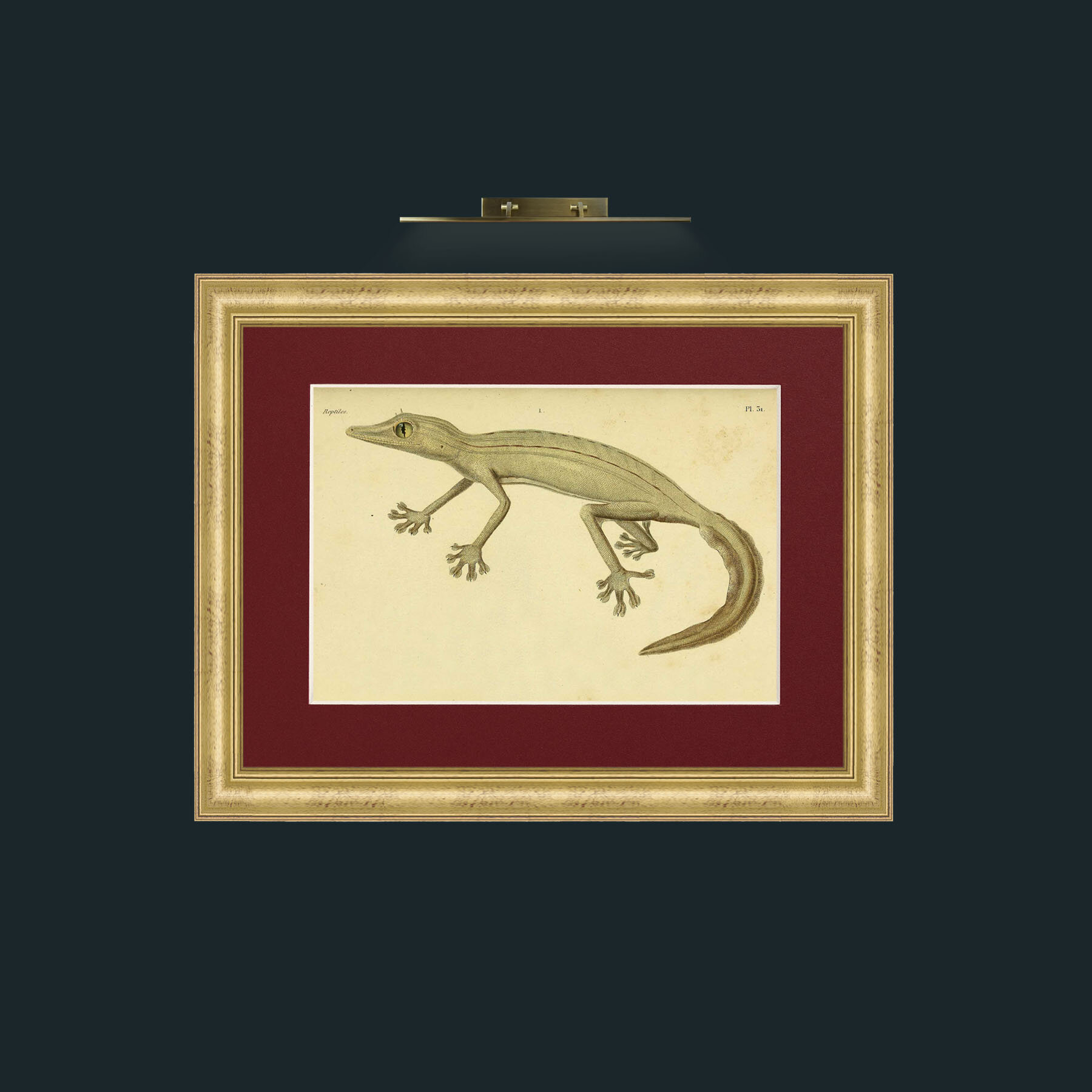 Art-Ptyodactyle Raye-Frame-9WideGilt-Mount-4Red.jpg