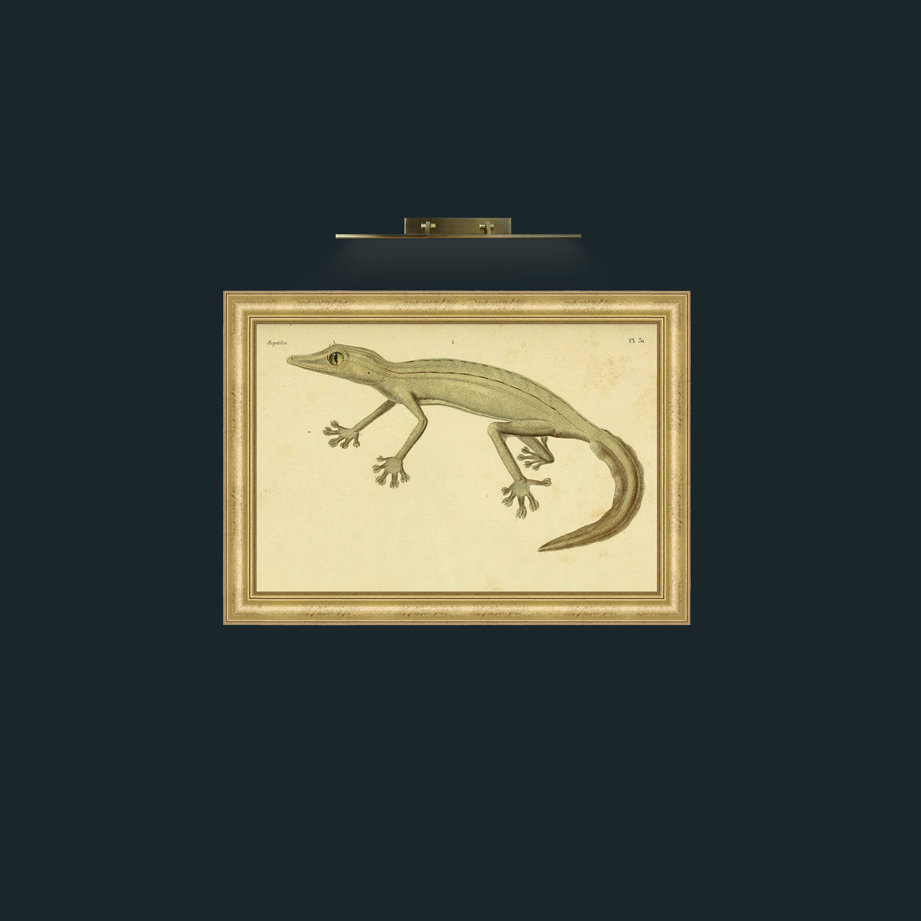 Art-Ptyodactyle Raye-Frame-9WideGilt.jpg