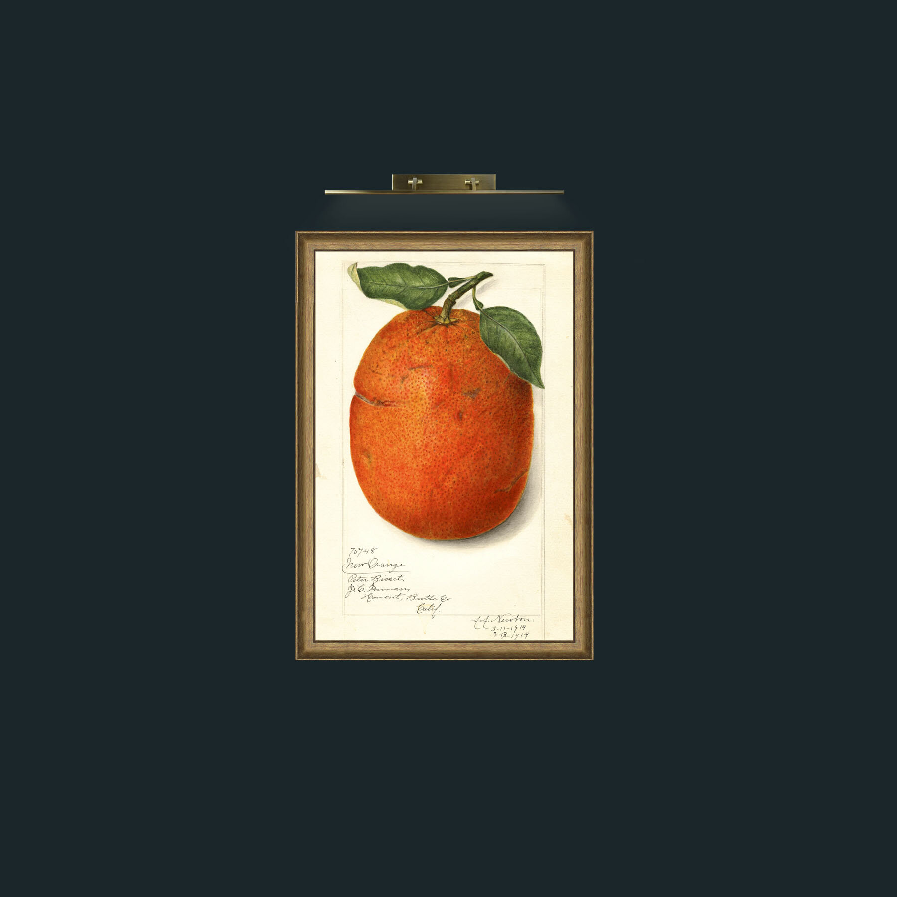 Art-Orange-Frame-8RedGreenGilt.jpg