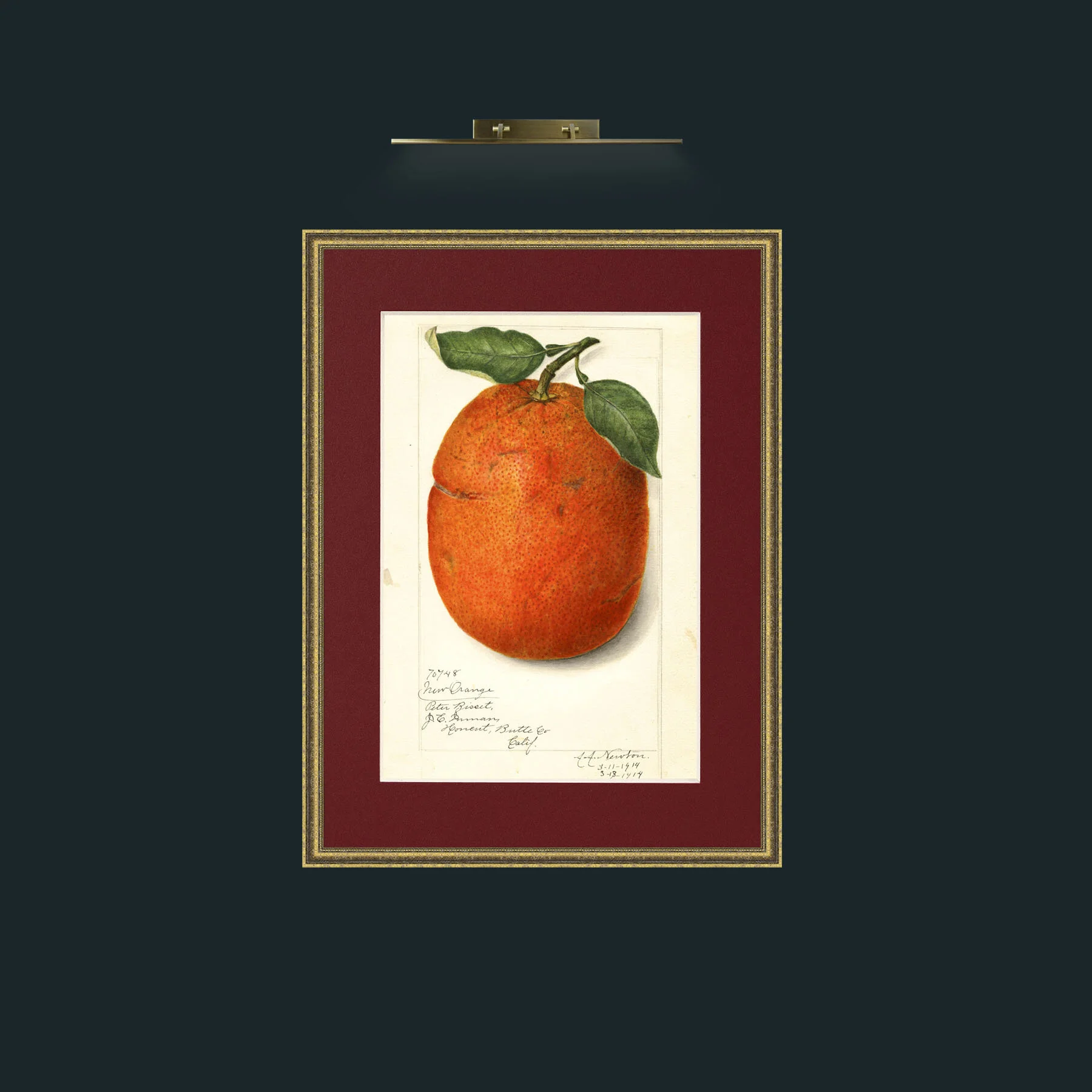 Art-Orange.jpg-Frame-1TexturedGilt-Mount-4Red.jpg