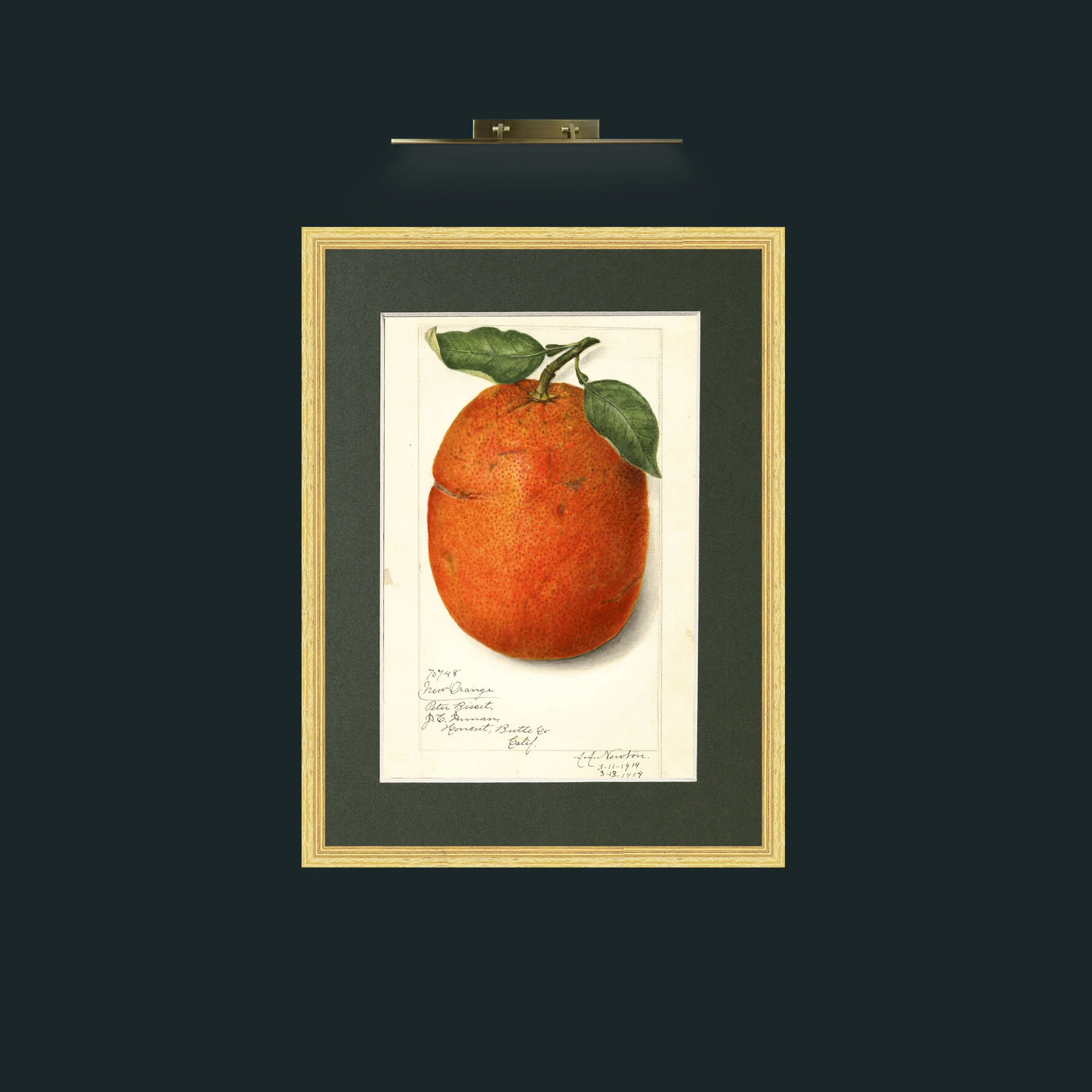 Art-Orange.jpg-Frame-4BevelledGilt-Mount-2Green.jpg