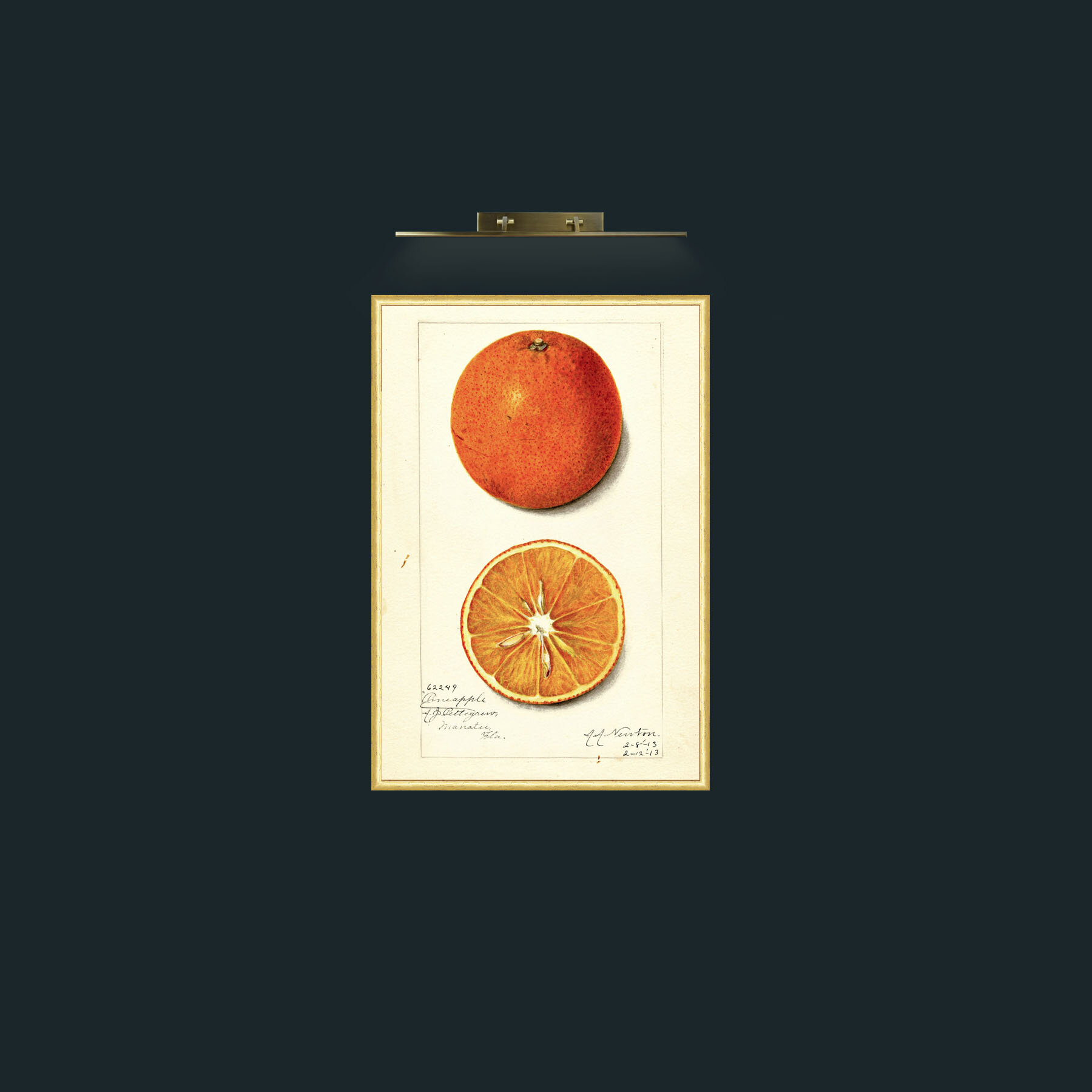Art-Orange and a half-Frame-3RoundedGilt.jpg