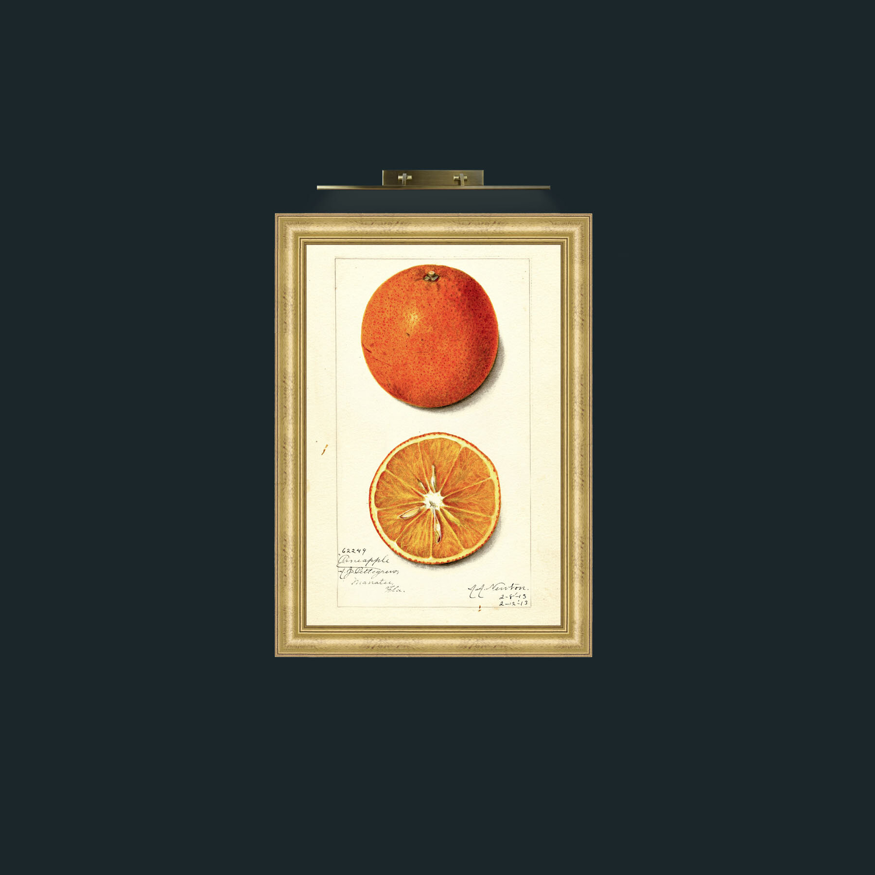 Art-Orange and a half-Frame-9WideGilt.jpg