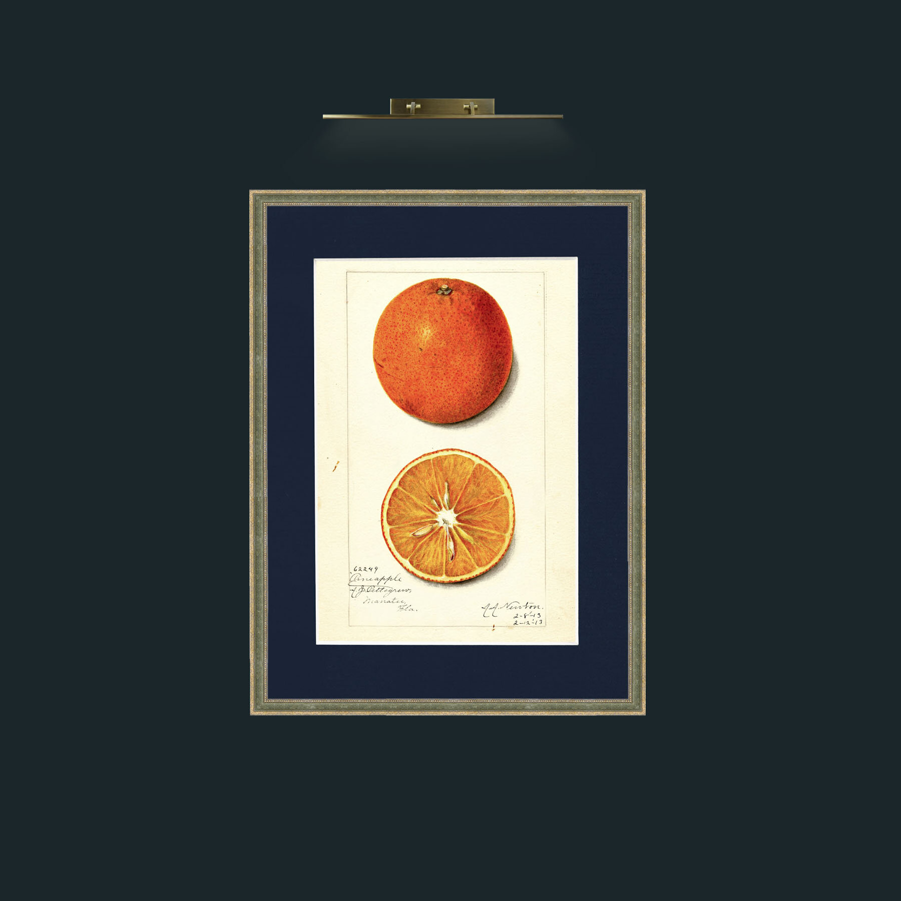 Art-Orange and a half.jpg-Frame-2GreenGiltTextured-Mount-3Blue.jpg