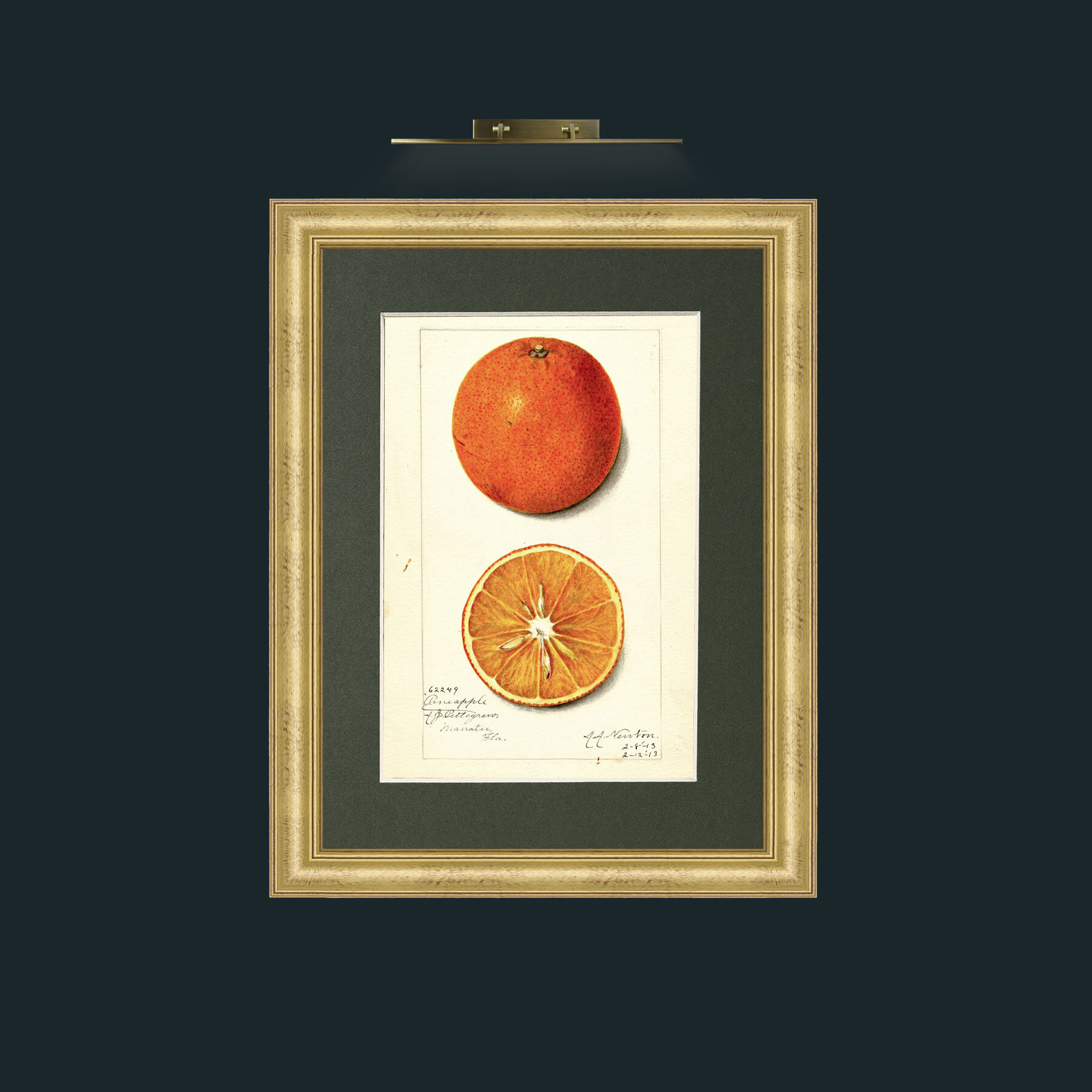 Art-Orange and a half.jpg-Frame-9WideGilt-Mount-2Green.jpg