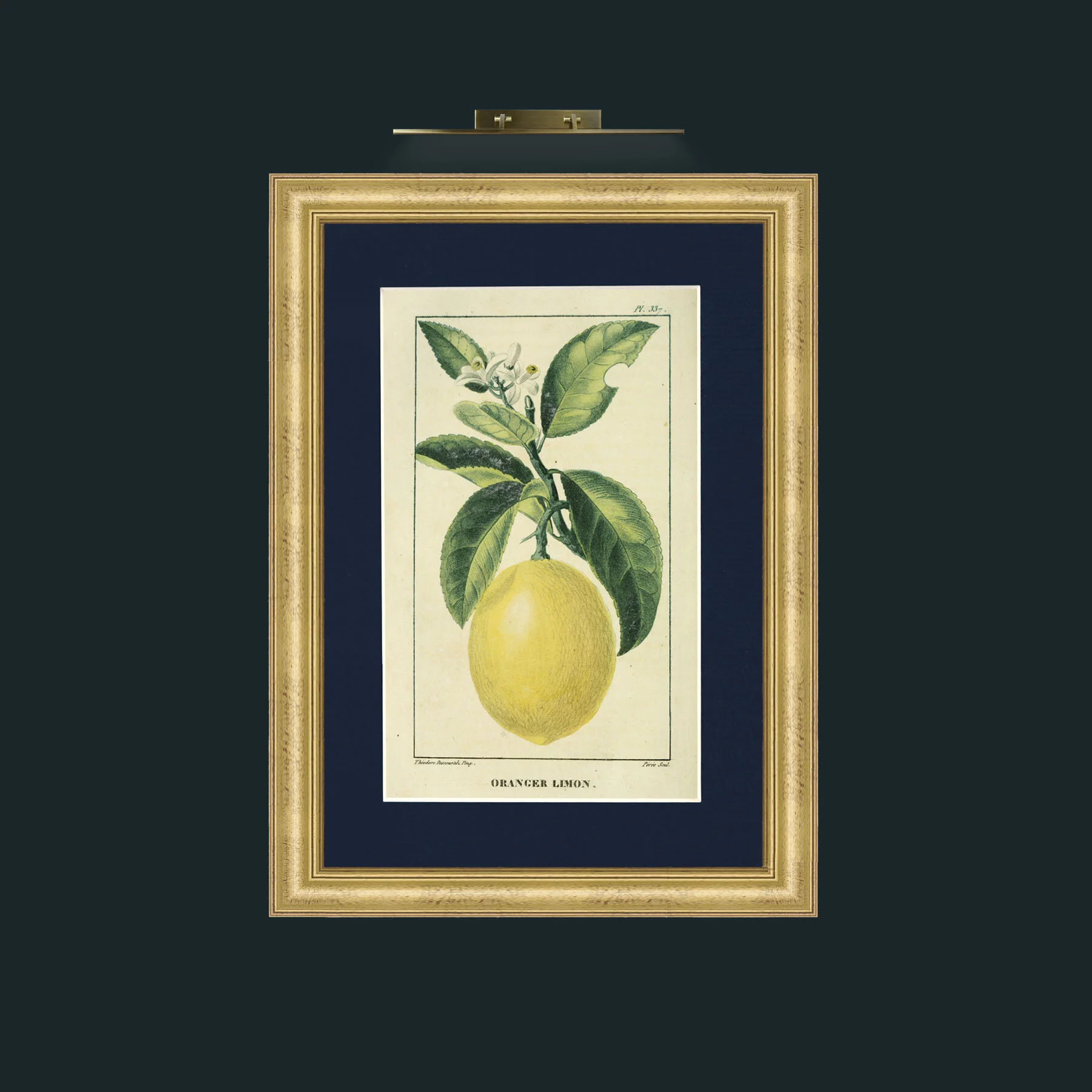 Art-Oranger Limon.jpg-Frame-9WideGilt-Mount-3Blue.jpg