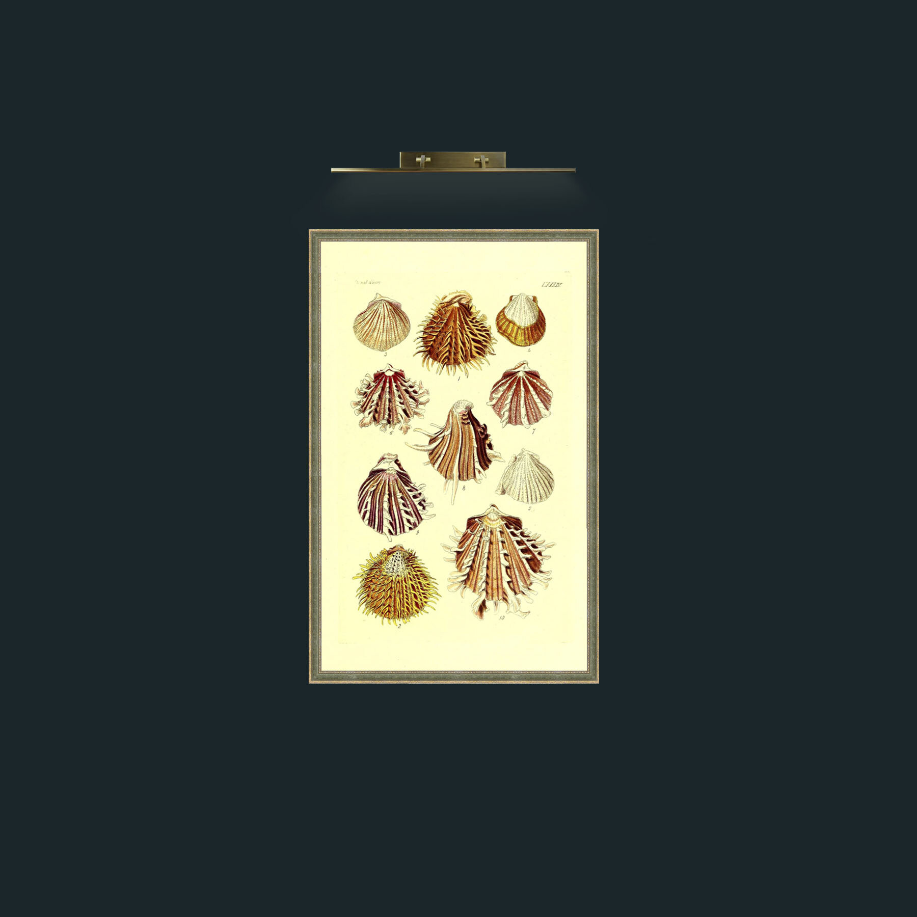 Art-Shells 2.jpg-Frame-2GreenGiltTextured.jpg