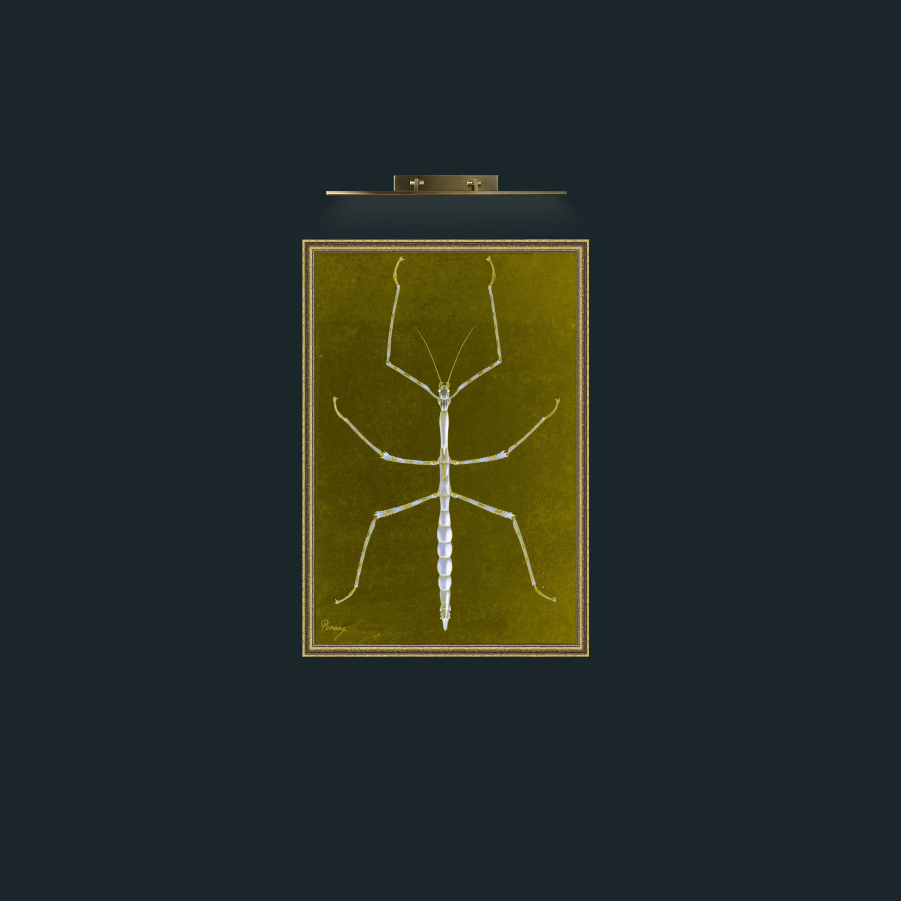 Art-Stick Insect-Frame-1GiltTextured.jpg