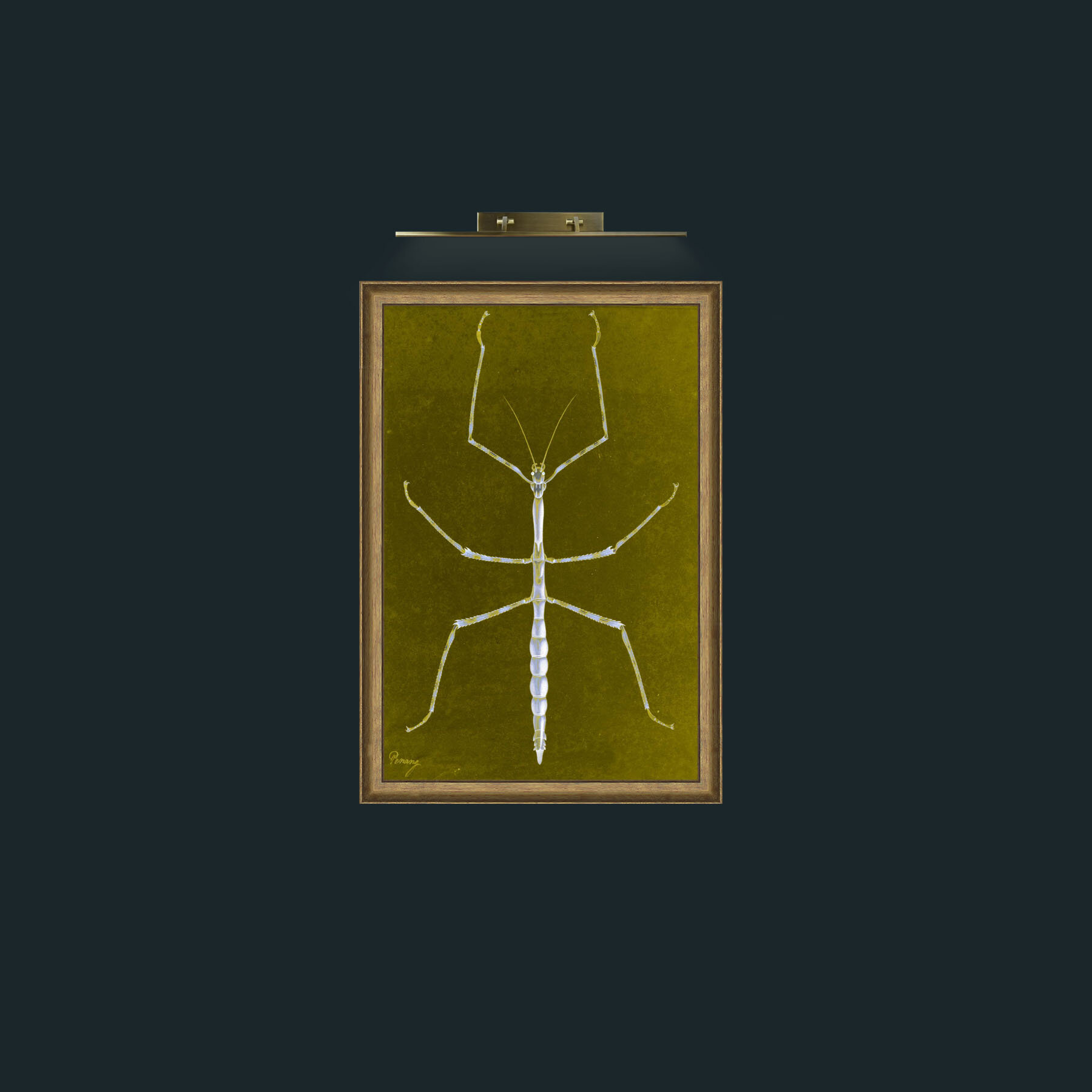 Art-Stick Insect-Frame-8RedGreenGilt.jpg