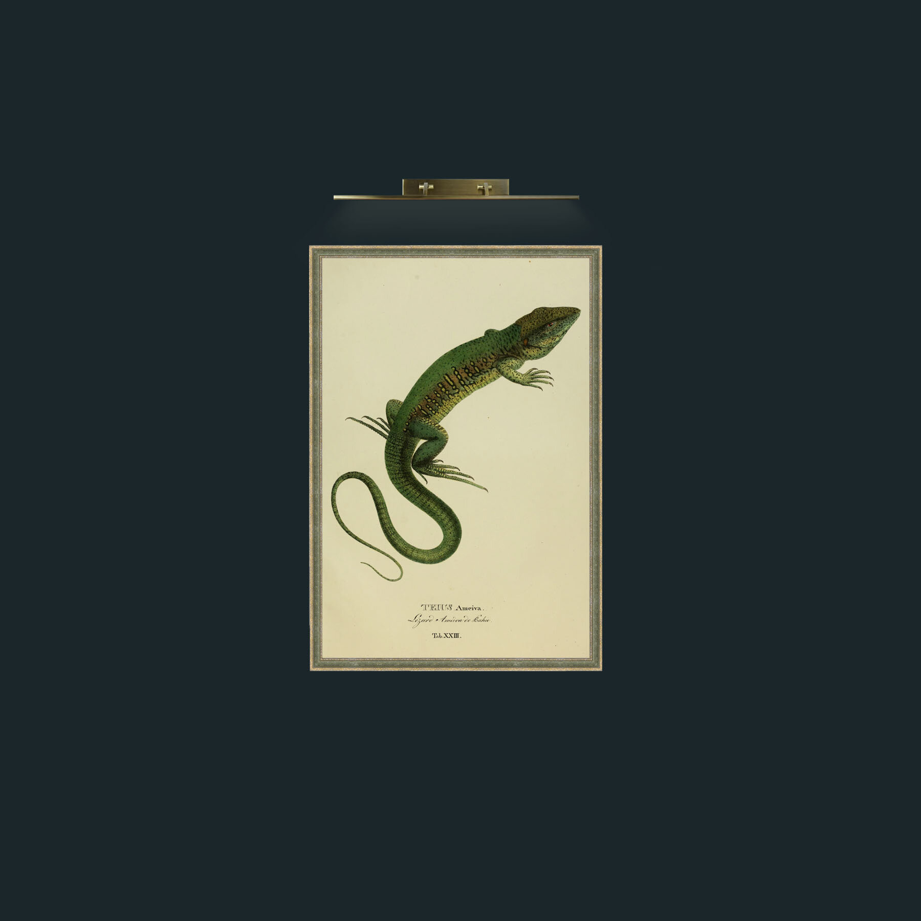 Art-Teius Ameiva-Frame-2GreenGiltTextured.jpg