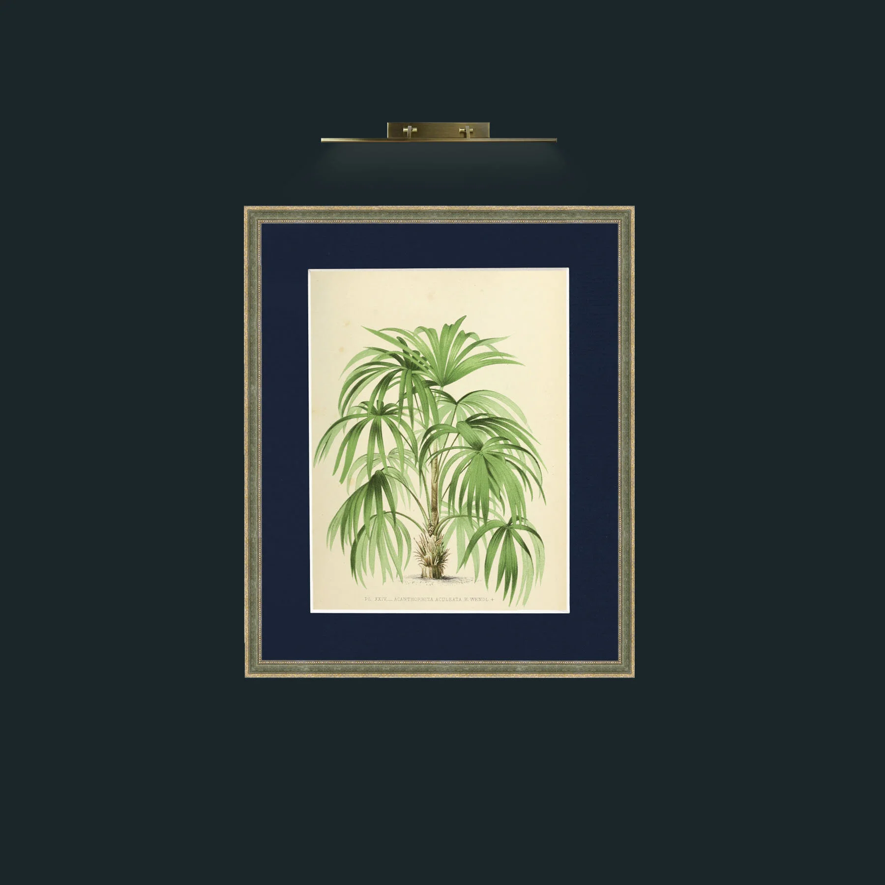 Art-Palm 7 (8).jpg