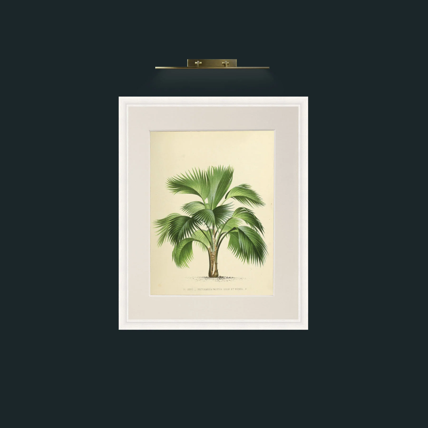 Art-Palm 9 (21).jpg