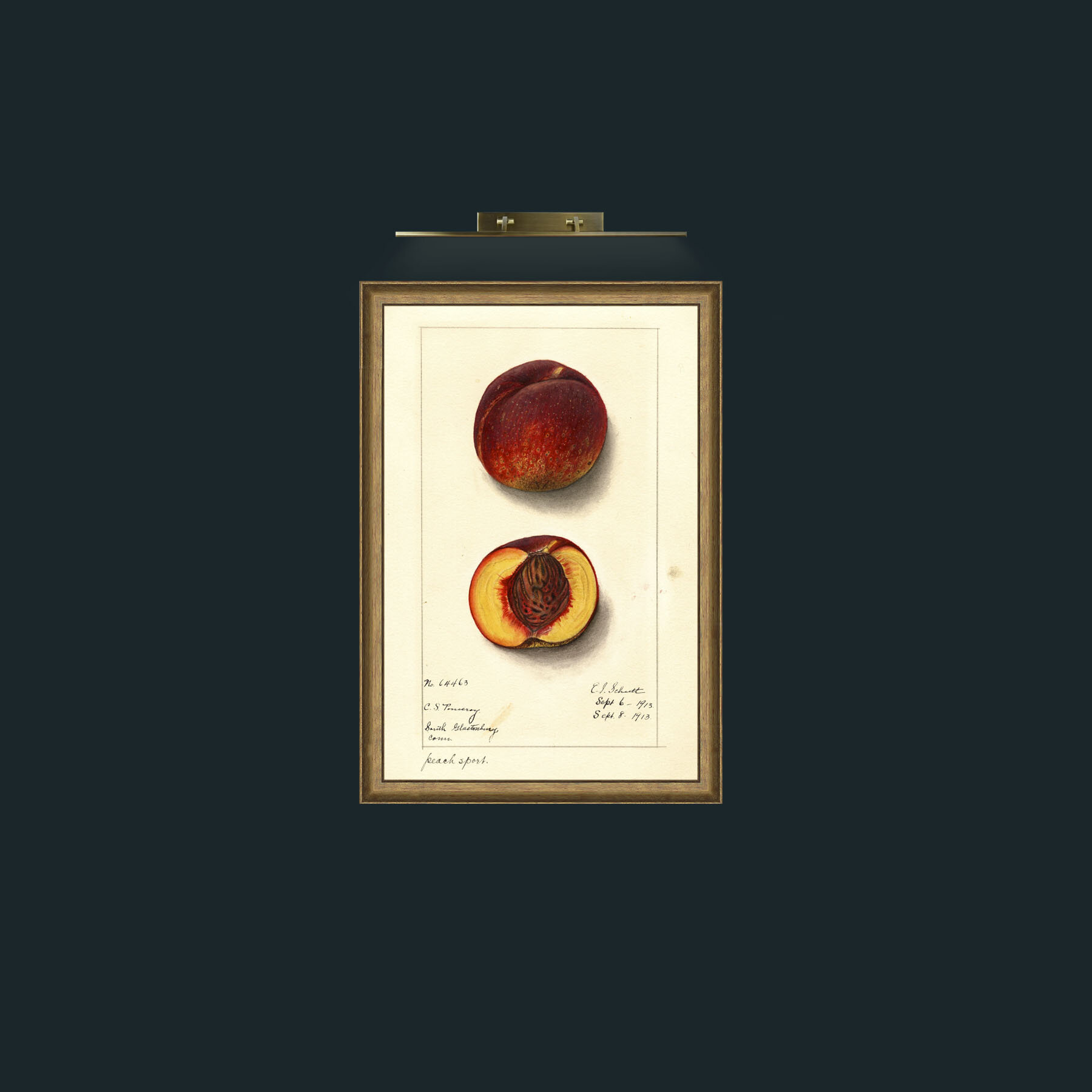 Art-Peach-Frame-8RedGreenGilt.jpg