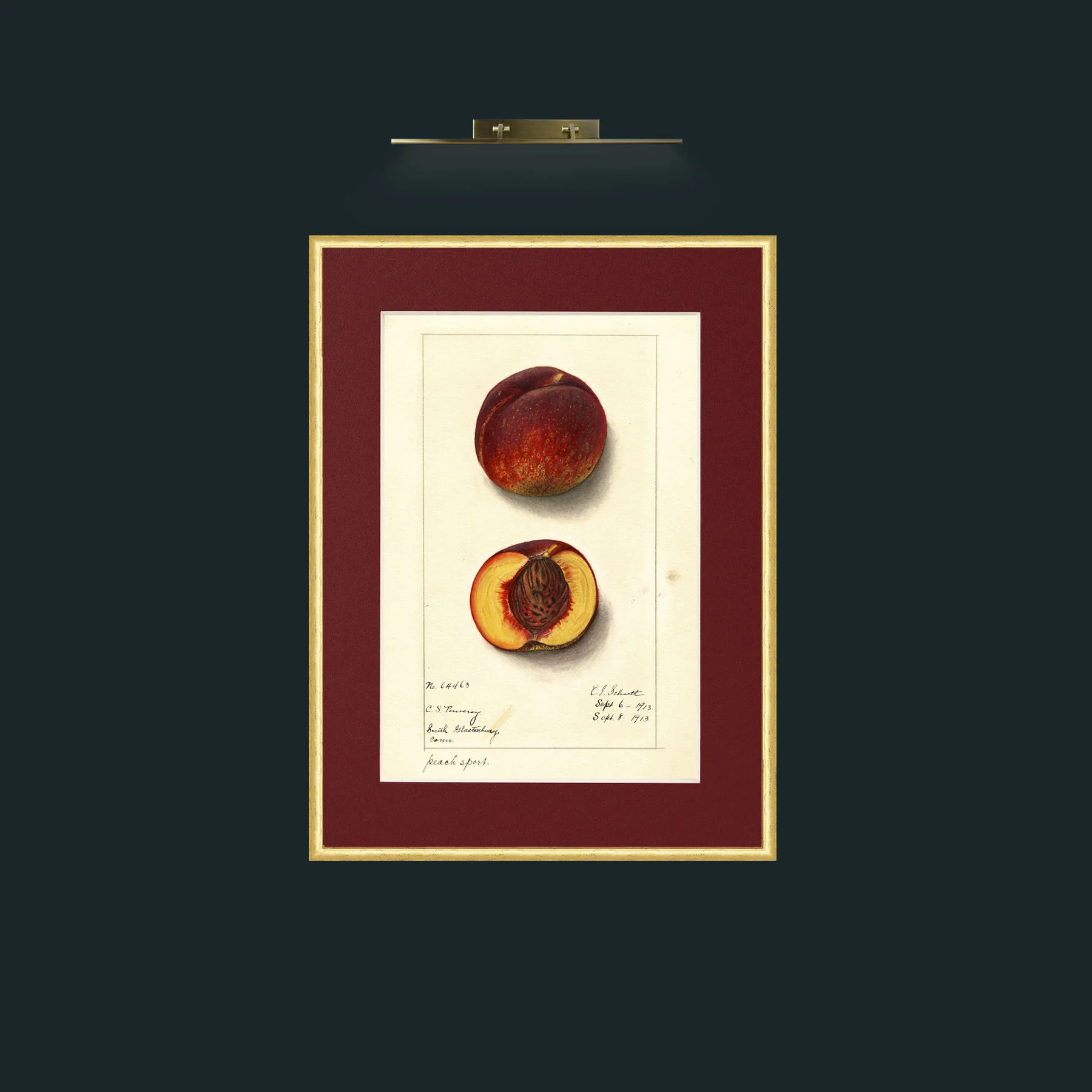 Art-Peach.jpg-Frame-3RoundedGilt-Mount-4Red.jpg
