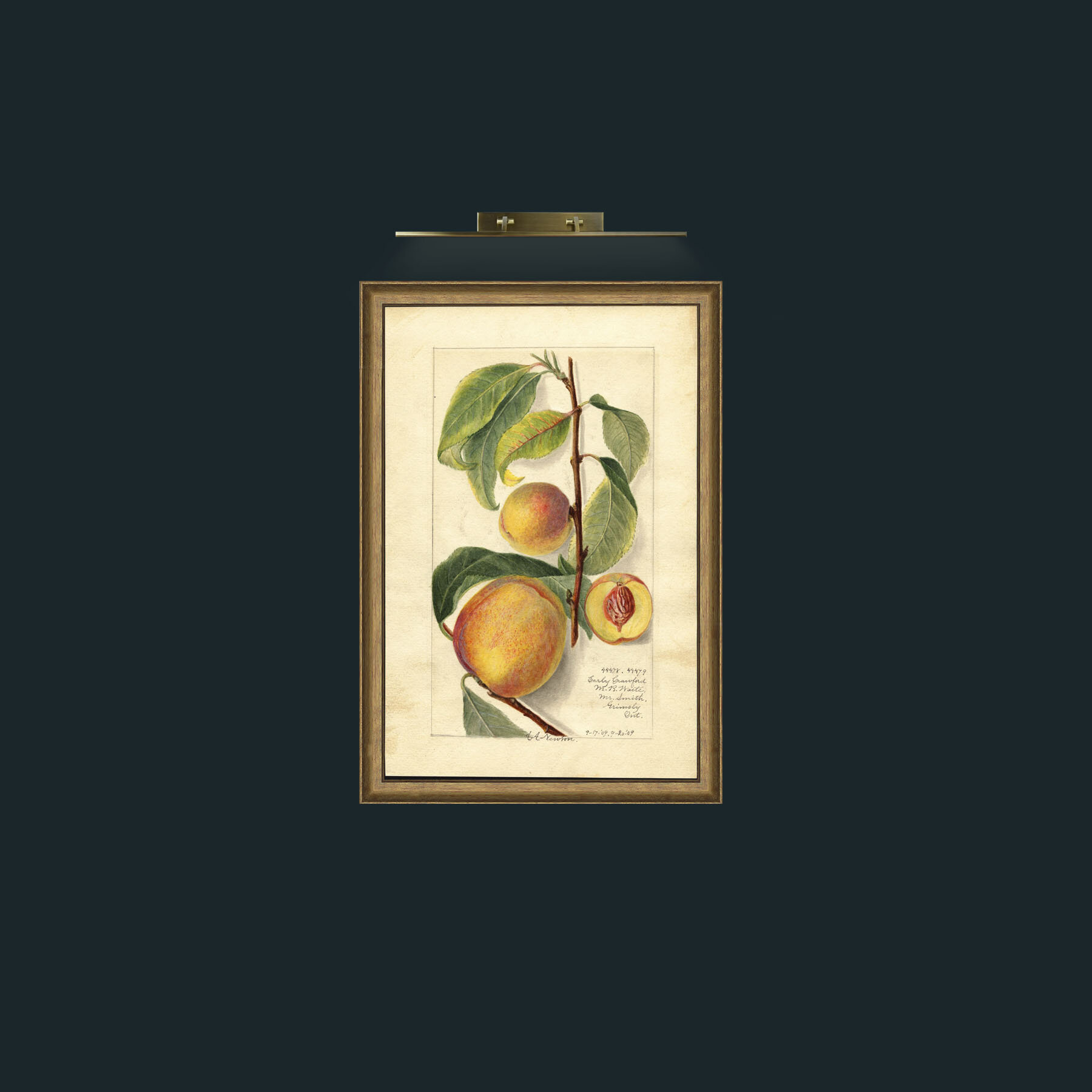 Art-Peaches-Frame-8RedGreenGilt.jpg