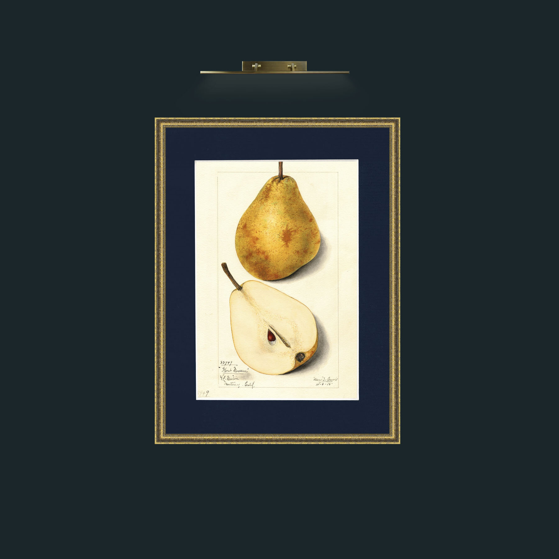 Art-Pear.jpg-Frame-1TexturedGilt-Mount-3Blue.jpg