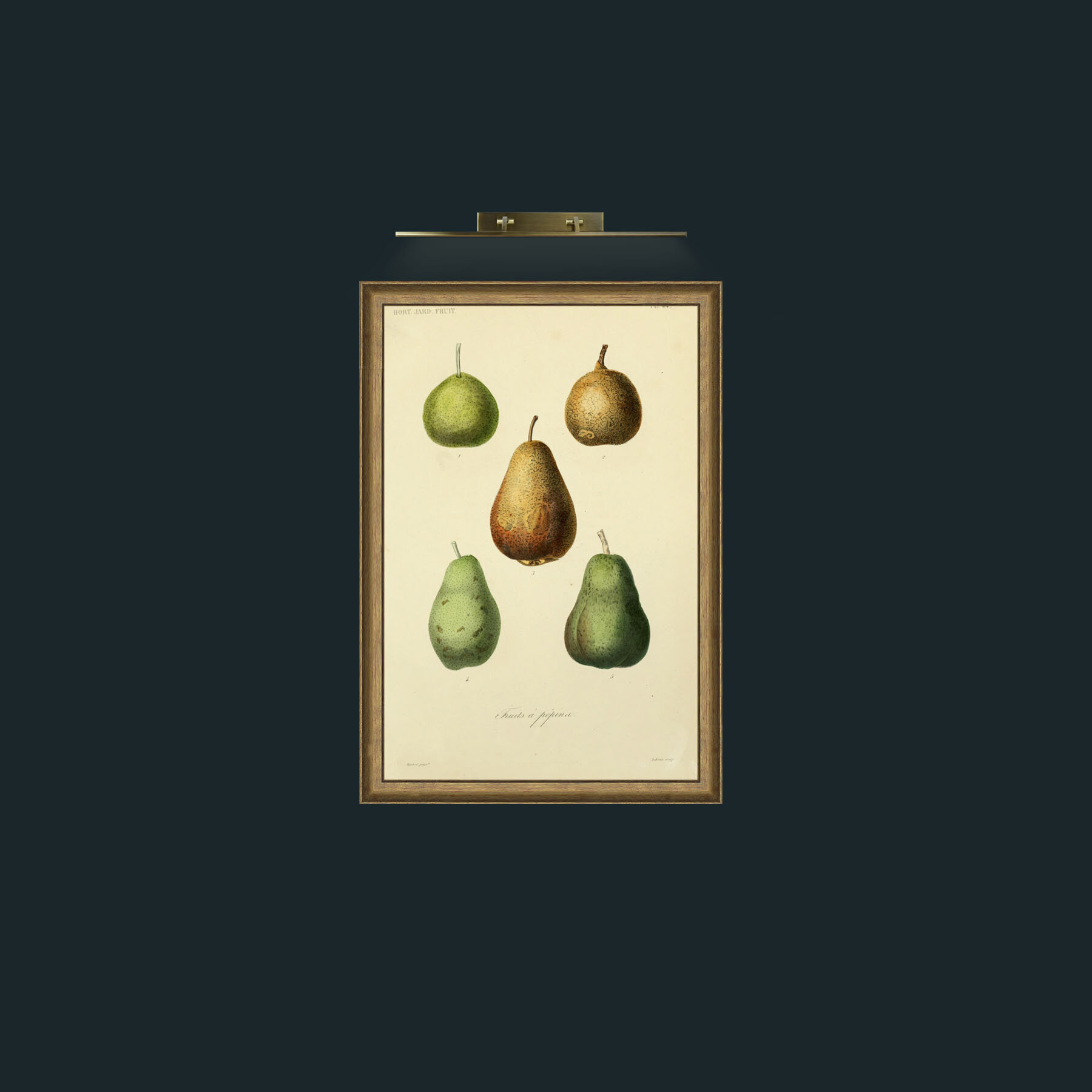Art-Pears-Frame-8RedGreenGilt.jpg
