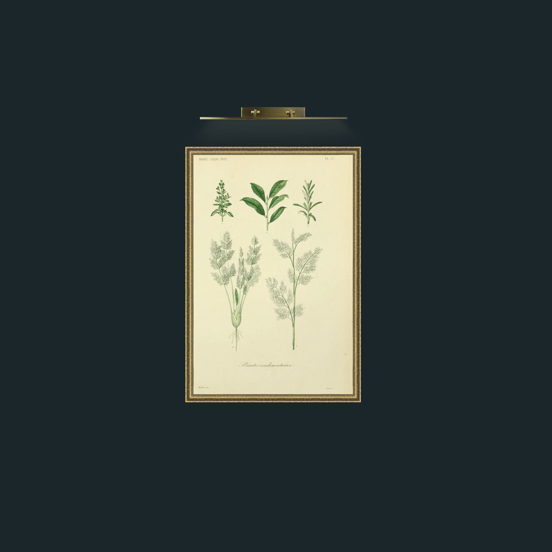 Art-Plantes Condimentairea 2-Frame-1GiltTextured.jpg