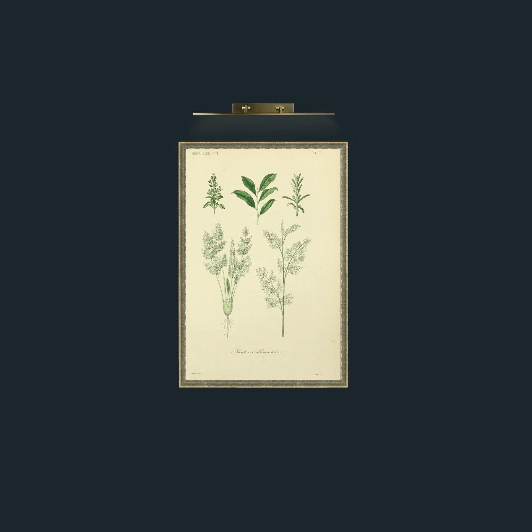 Art-Plantes Condimentairea 2-Frame-2GreenGiltTextured.jpg