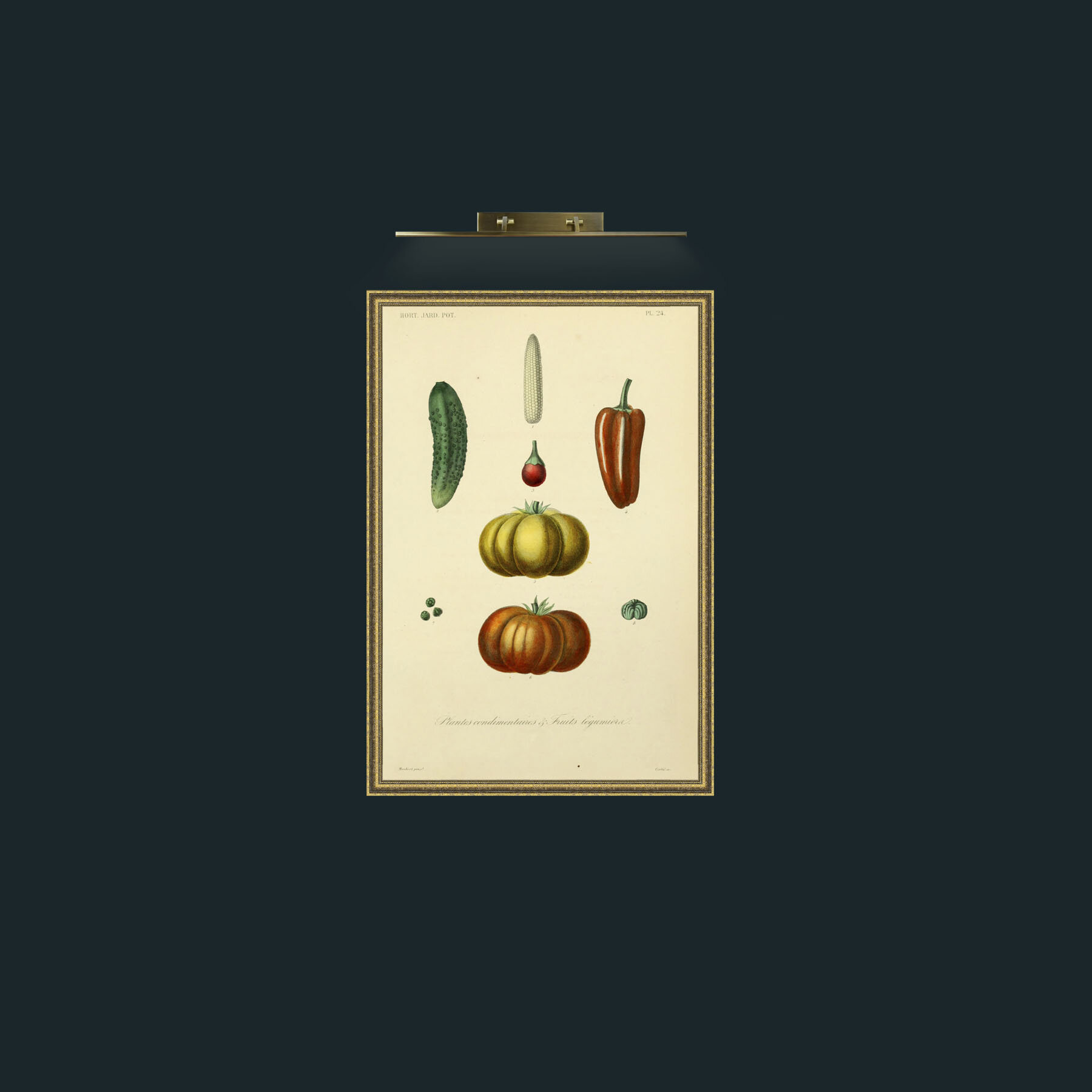 Art-Plantes Condimentairea and Fruits Legumierea-Frame-1GiltTextured.jpg
