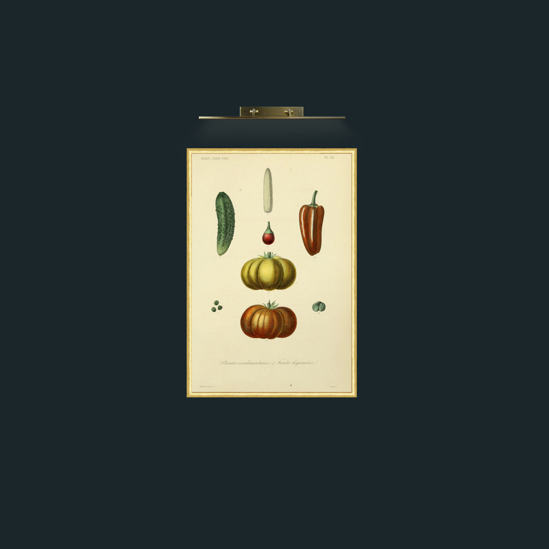 Art-Plantes Condimentairea and Fruits Legumierea-Frame-3RoundedGilt.jpg