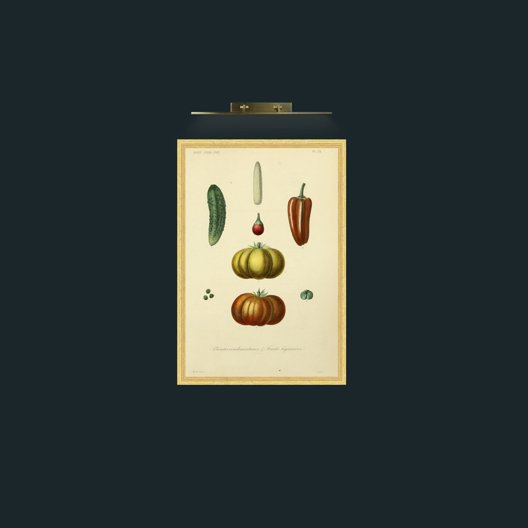 Art-Plantes Condimentairea and Fruits Legumierea-Frame-4BevelledGilt.jpg