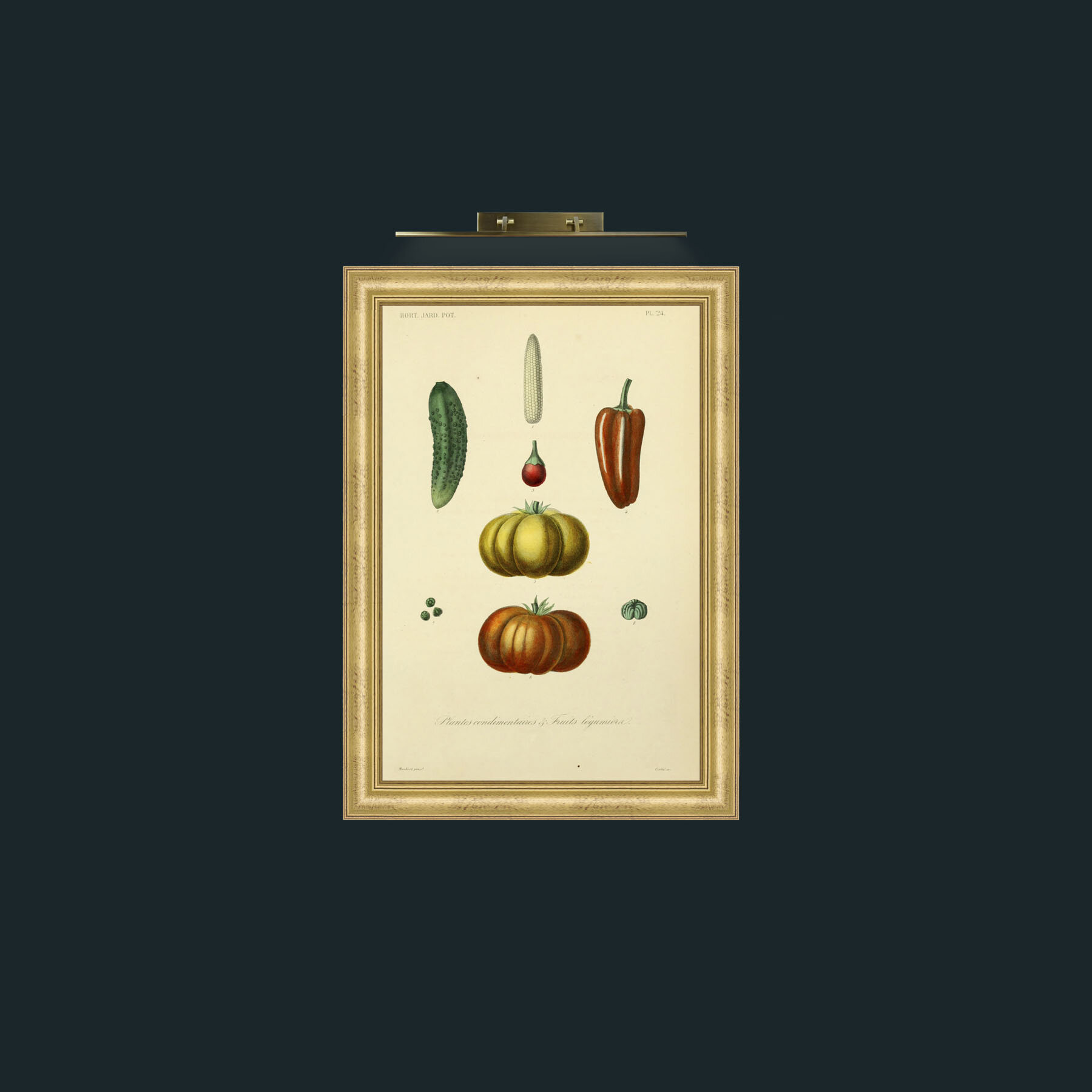 Art-Plantes Condimentairea and Fruits Legumierea-Frame-9WideGilt.jpg