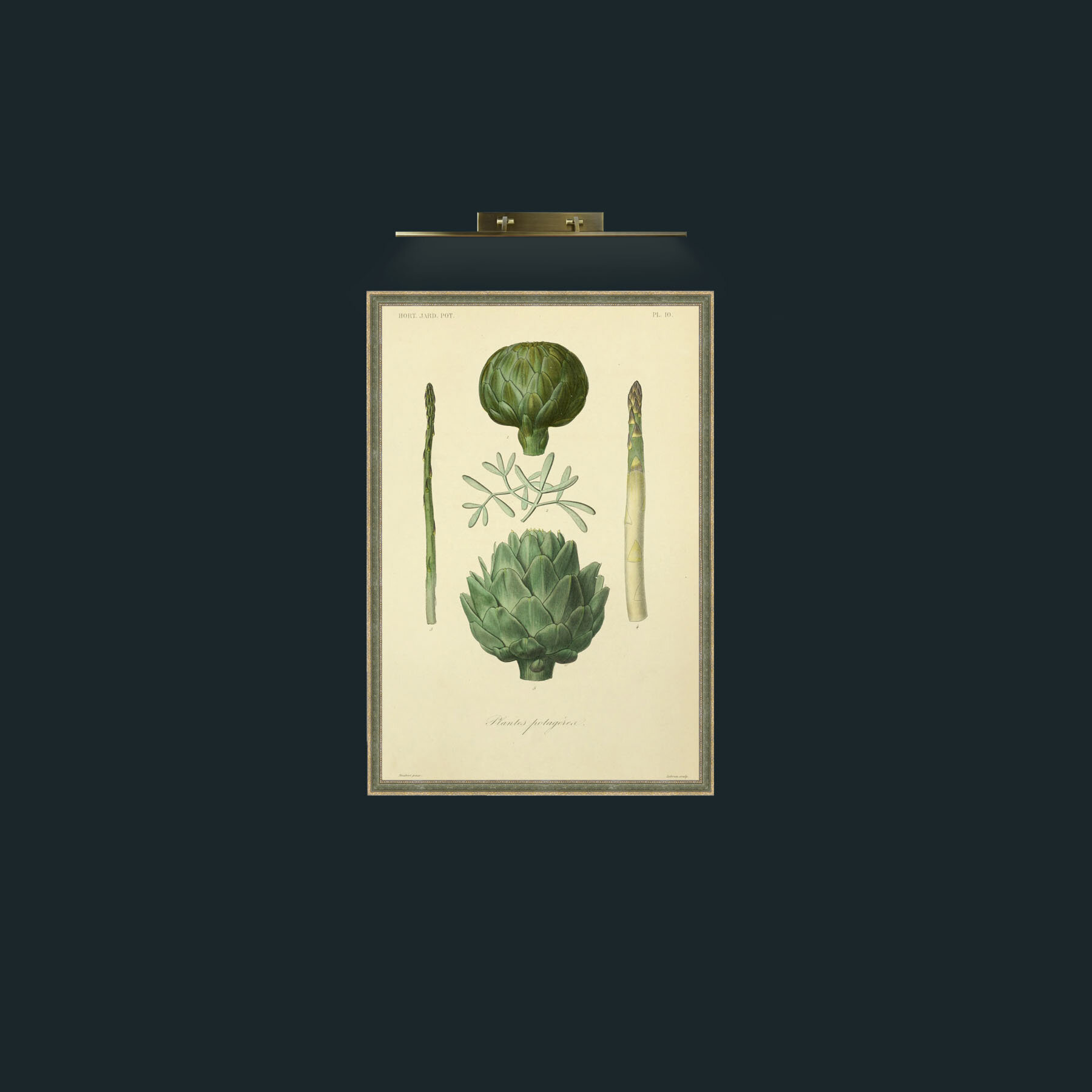 Art-Plantes Potagereas 2-Frame-2GreenGiltTextured.jpg