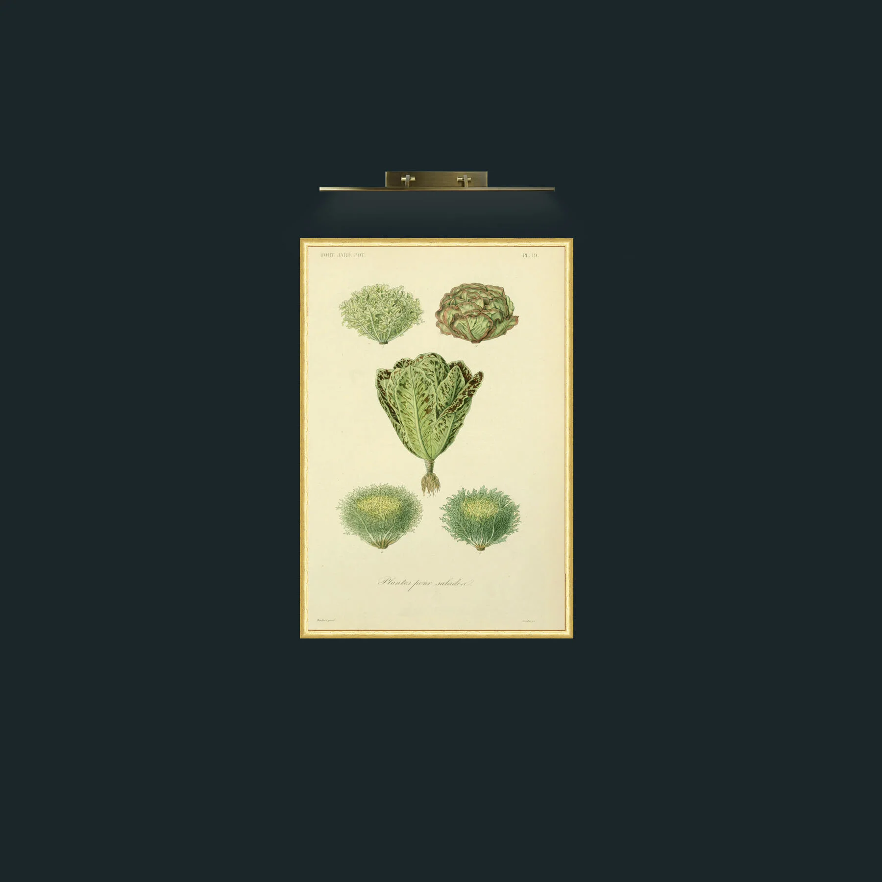 Art-Plantes pour Salades-Frame-3RoundedGilt.jpg