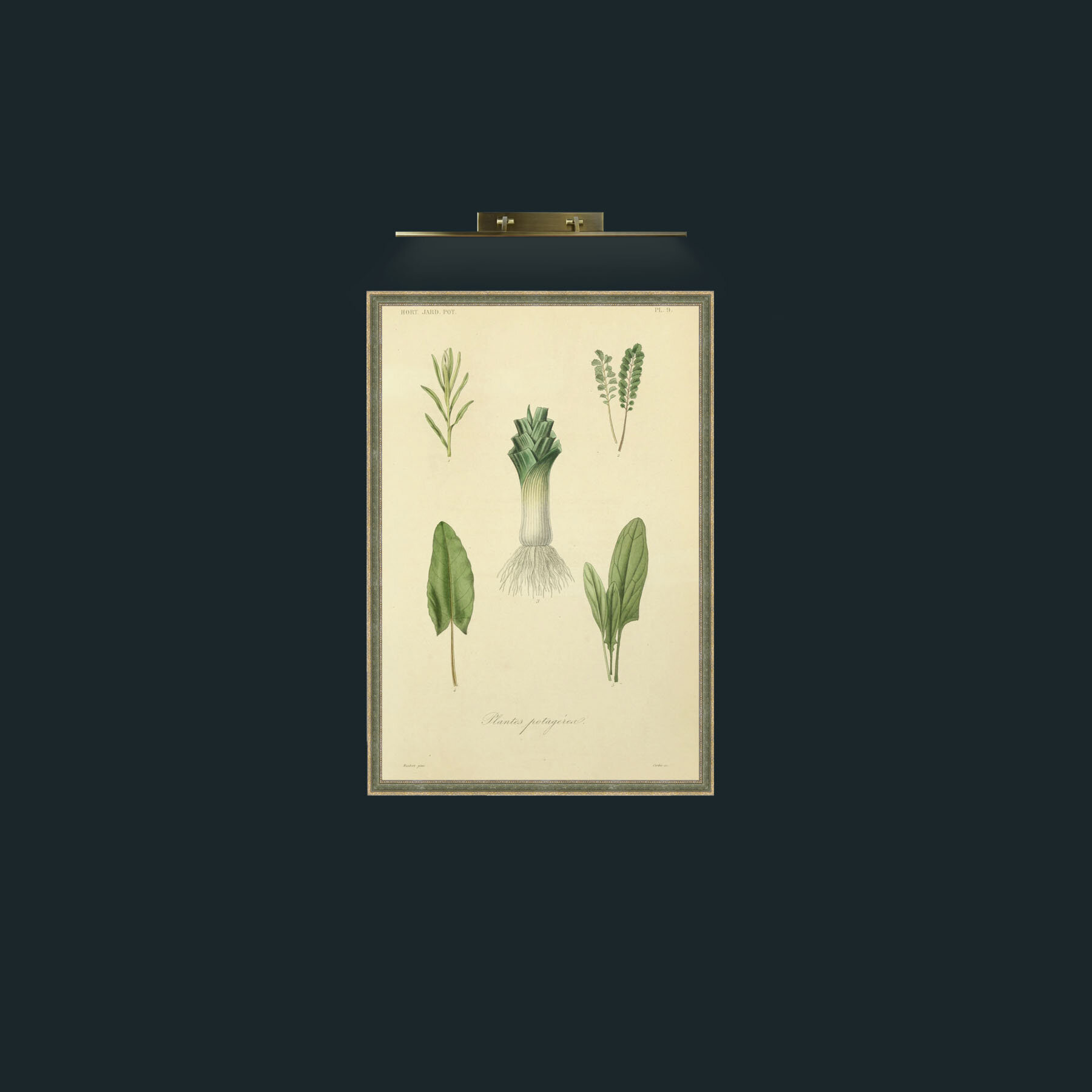 Art-Plants Potagerea-Frame-2GreenGiltTextured.jpg
