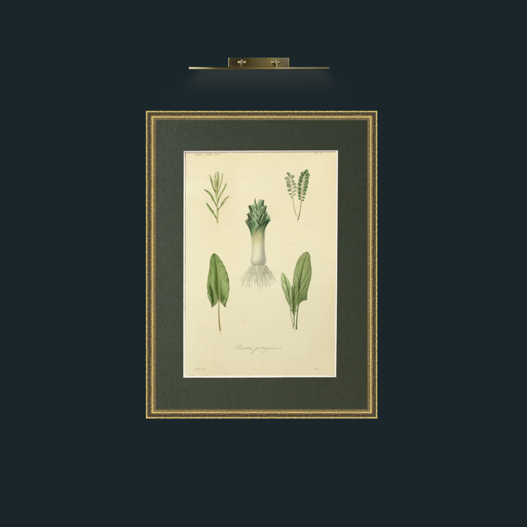 Art-Plants Potagerea.jpg-Frame-1TexturedGilt-Mount-2Green.jpg