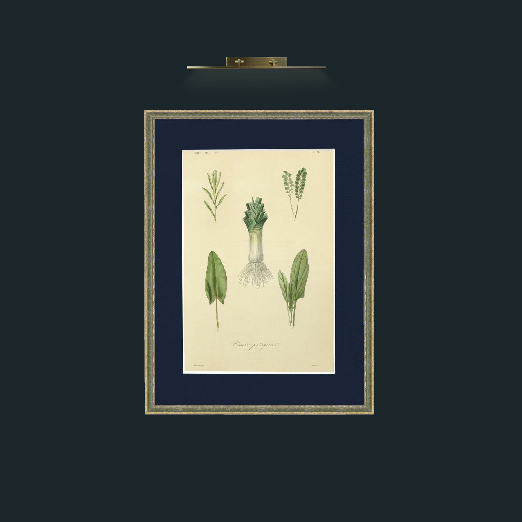 Art-Plants Potagerea.jpg-Frame-2GreenGiltTextured-Mount-3Blue.jpg