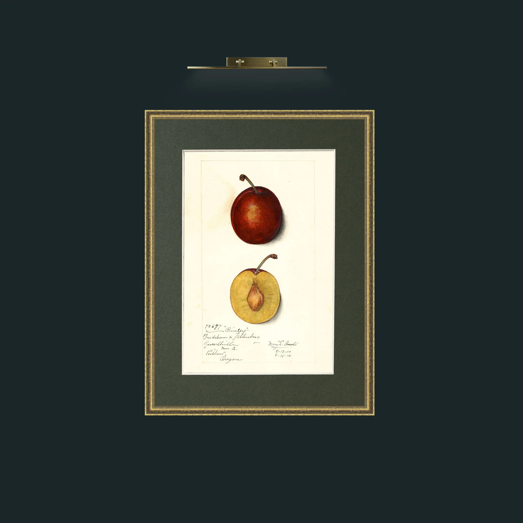 Art-Plum.jpg-Frame-1TexturedGilt-Mount-2Green.jpg