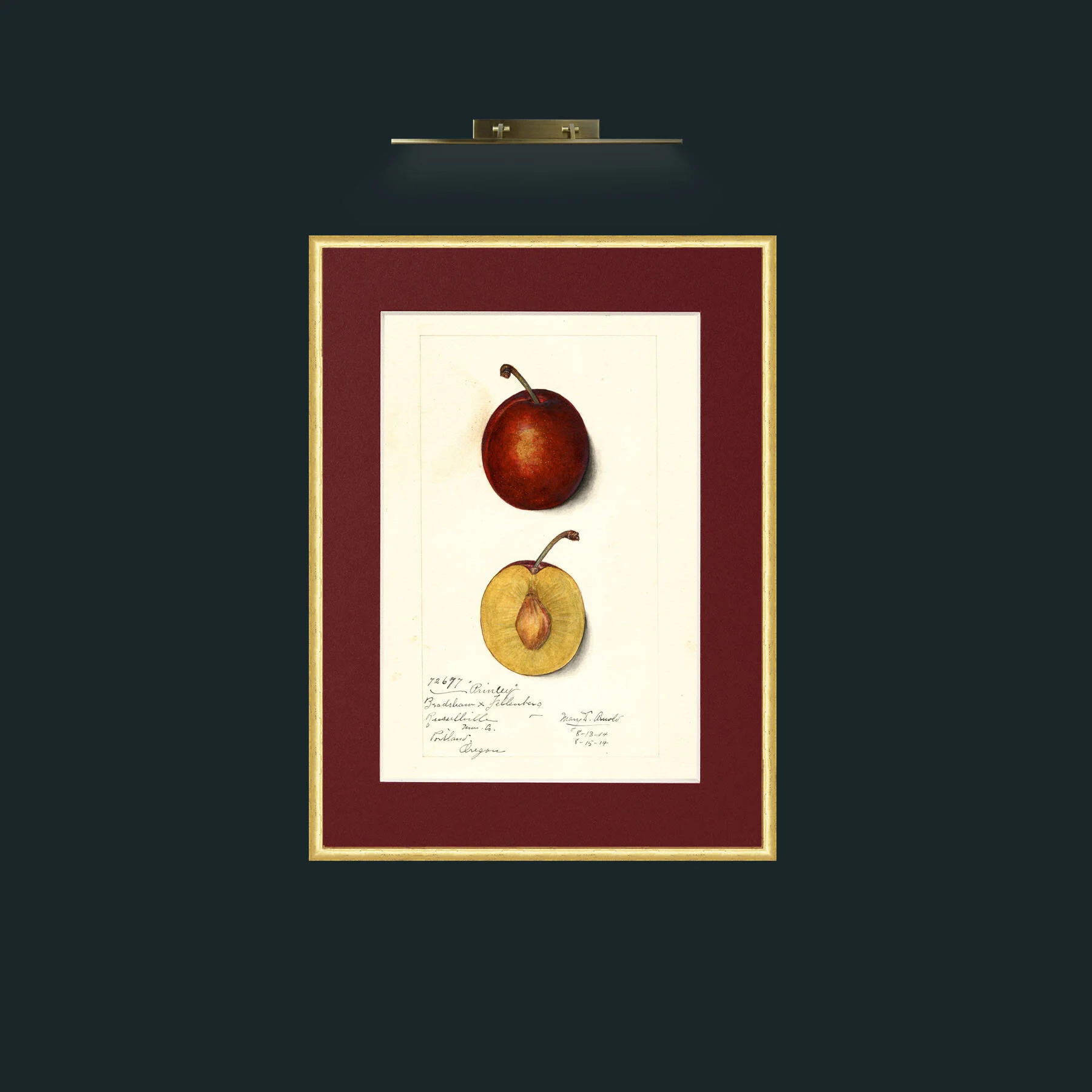 Art-Plum.jpg-Frame-3RoundedGilt-Mount-4Red.jpg