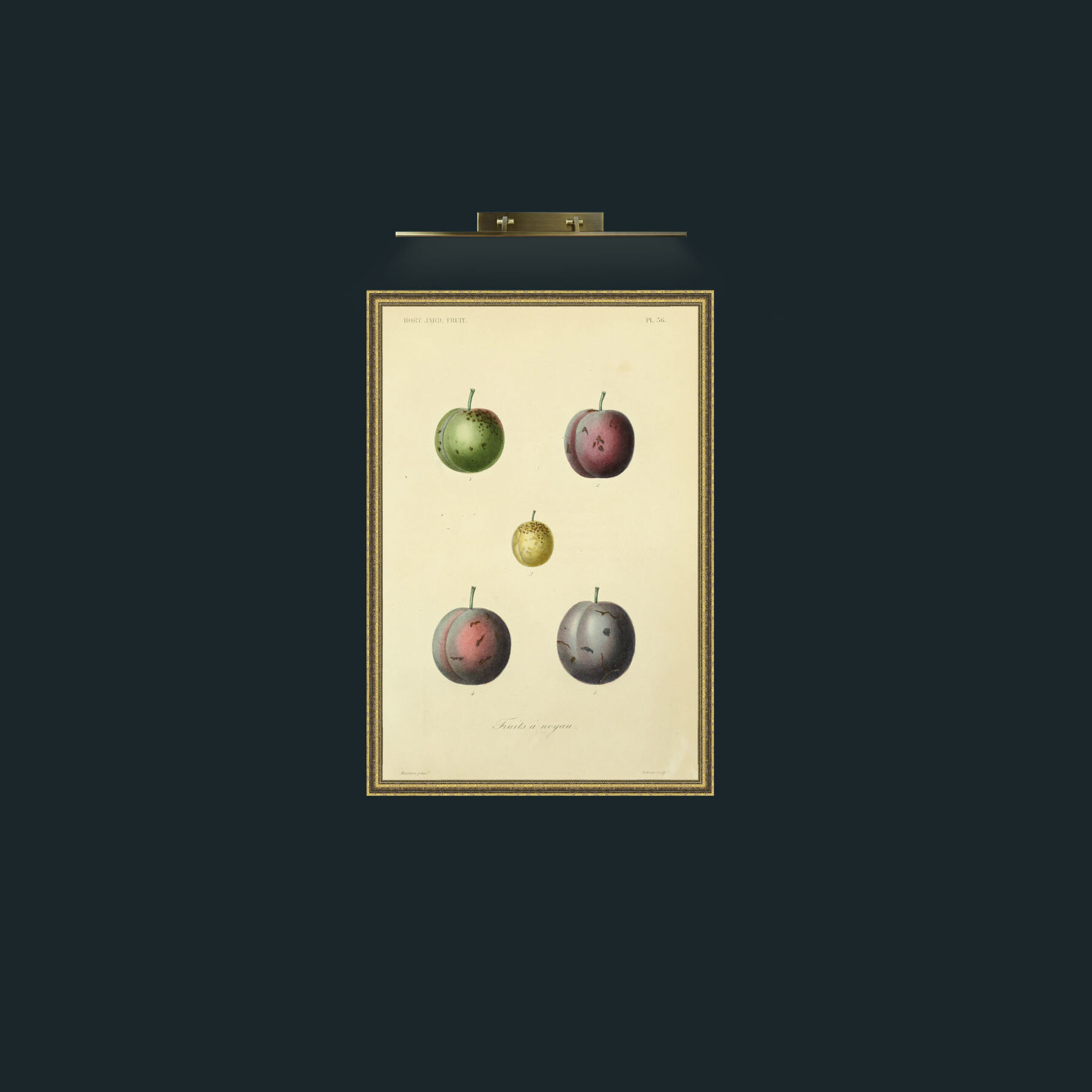 Art-Plums-Frame-1GiltTextured.jpg