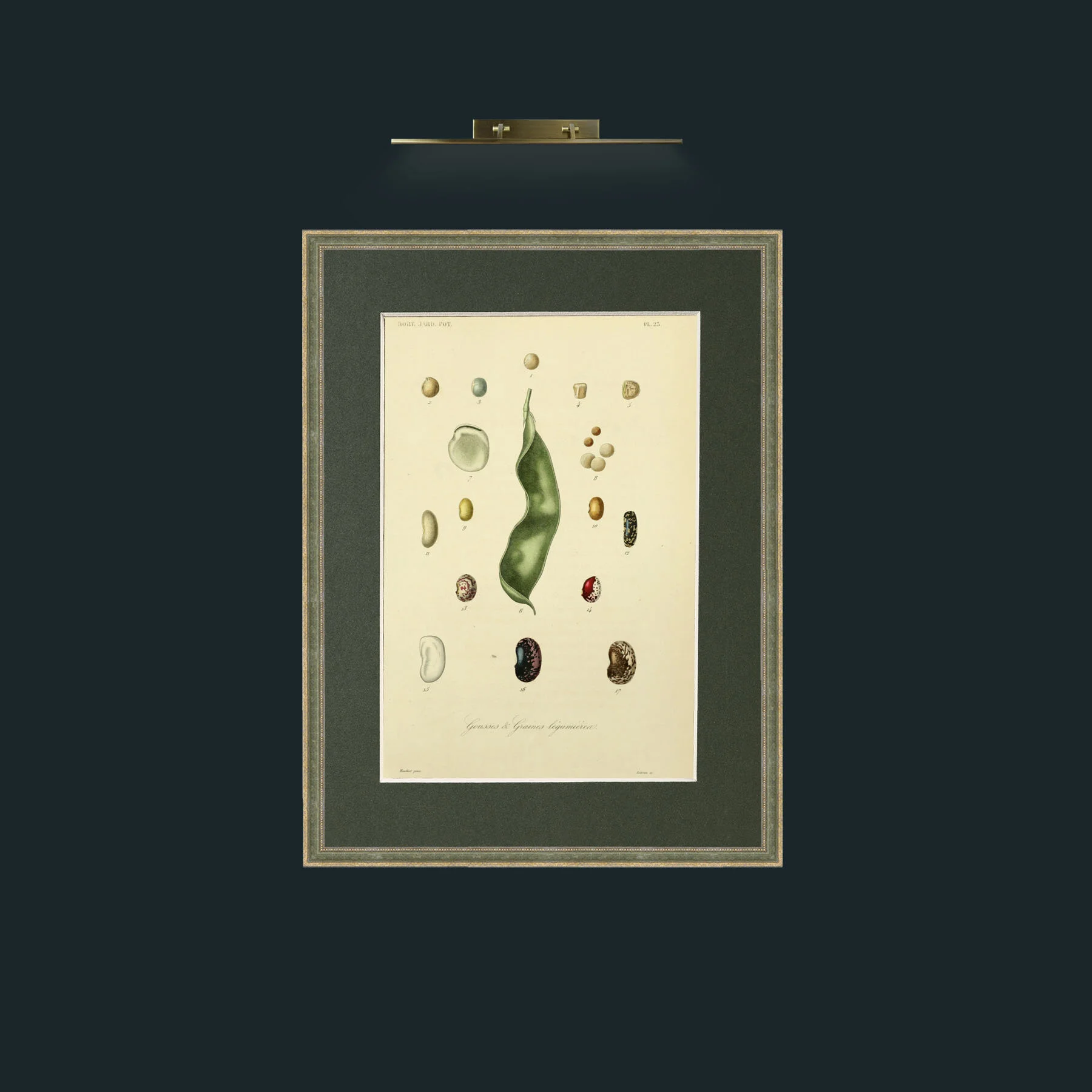Art-Pods and Grains.jpg-Frame-2GreenGiltTextured-Mount-2Green.jpg