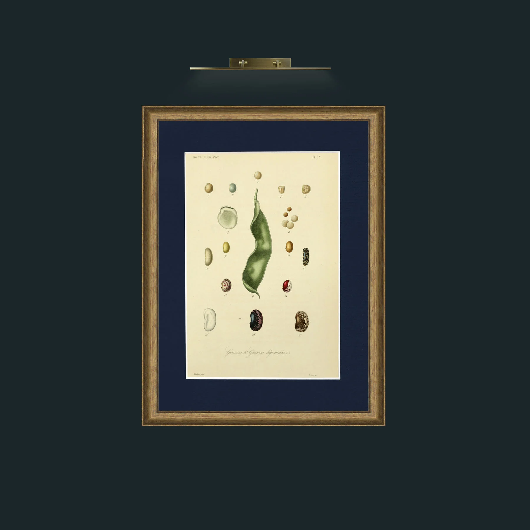 Art-Pods and Grains.jpg-Frame-8AntiqueRedGoldGilt-Mount-3Blue.jpg