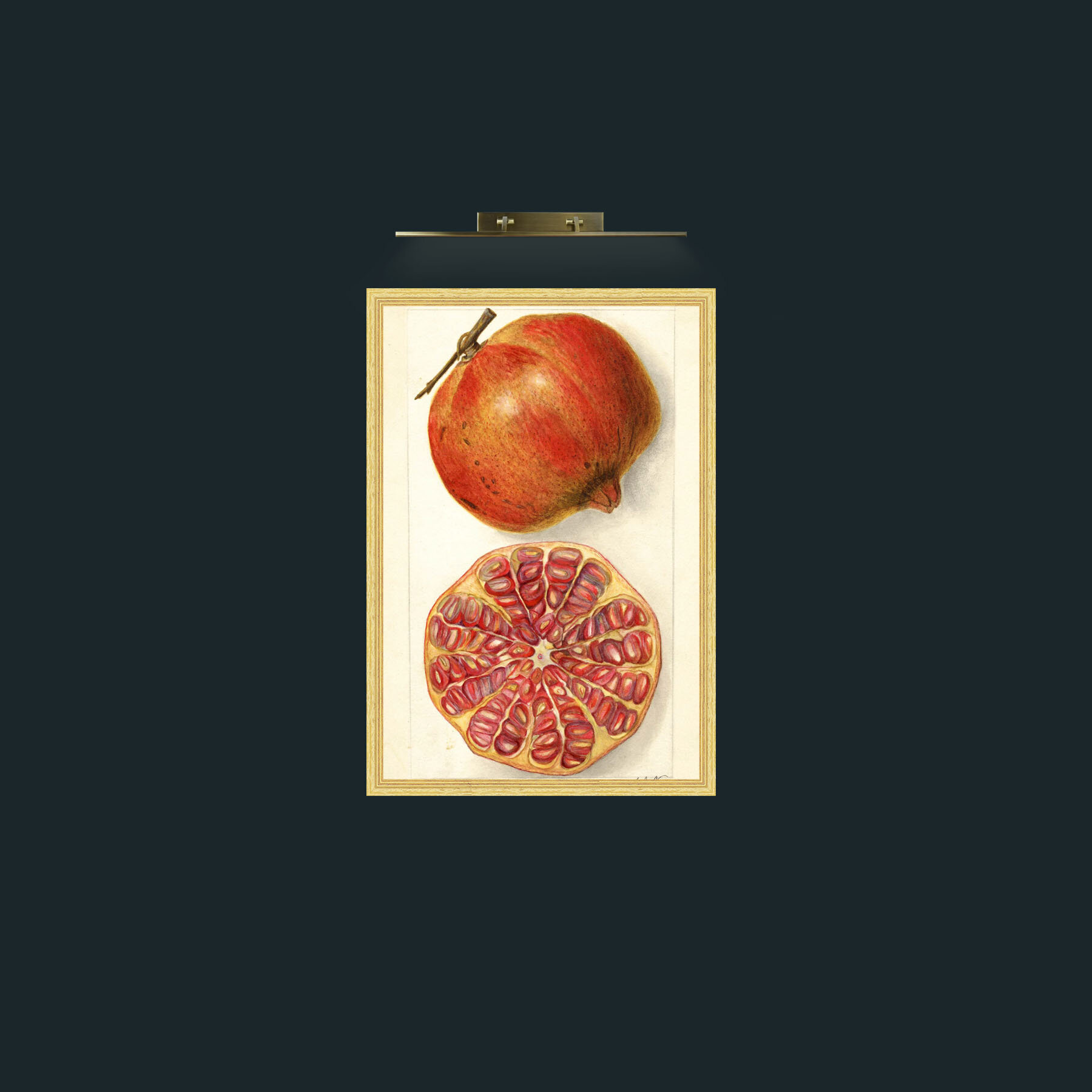 Art-Pomegranate and a half-Frame-4BevelledGilt.jpg