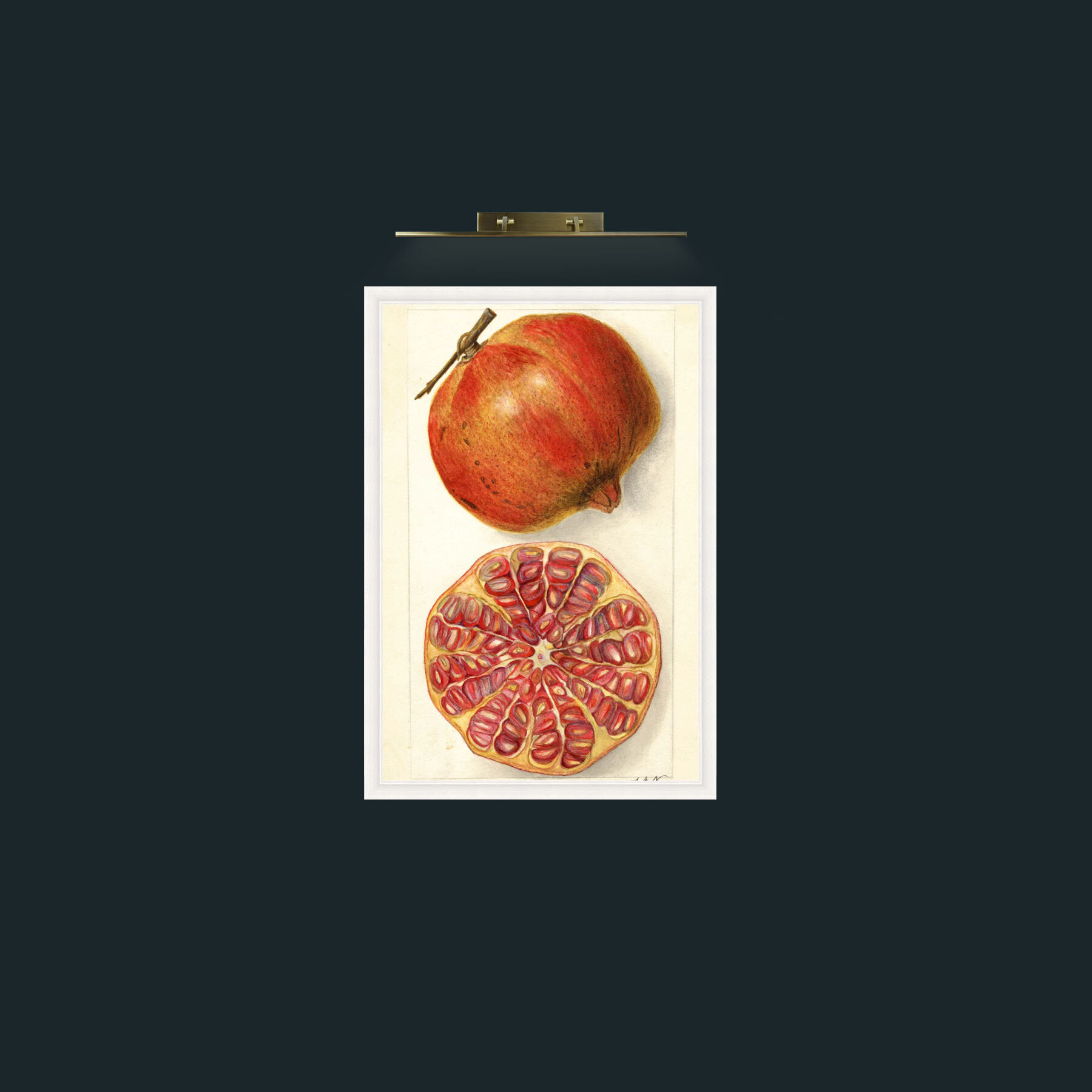 Art-Pomegranate and a half-Frame-5White.jpg