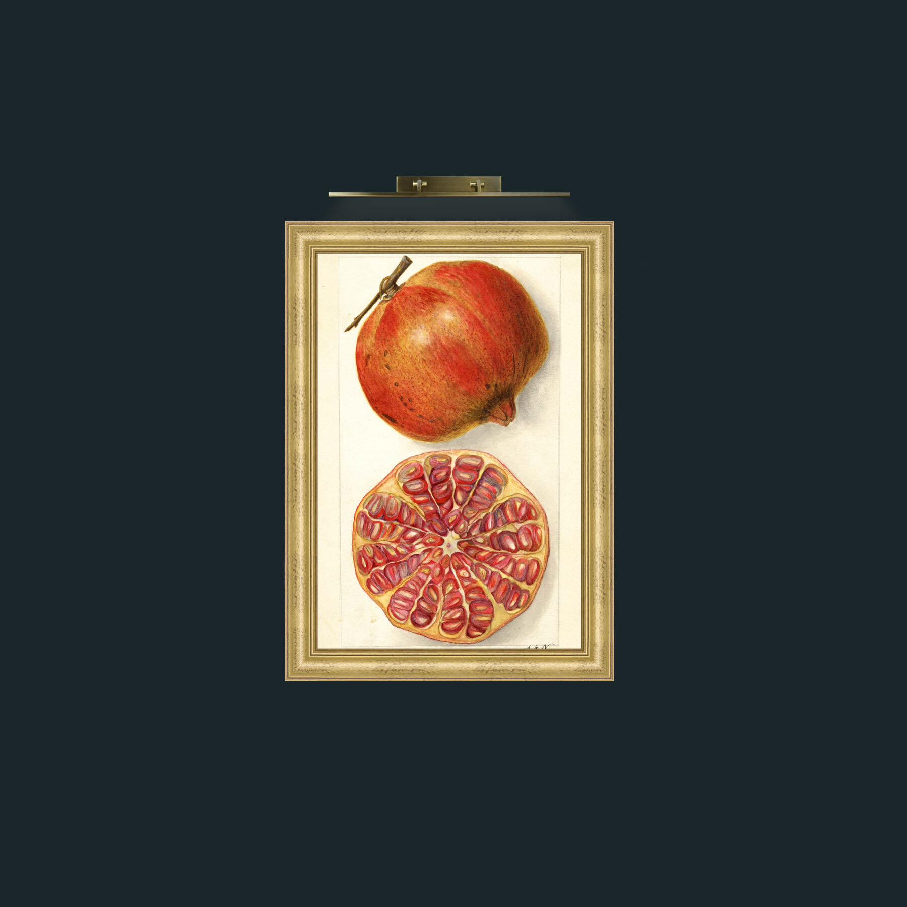Art-Pomegranate and a half-Frame-9WideGilt.jpg