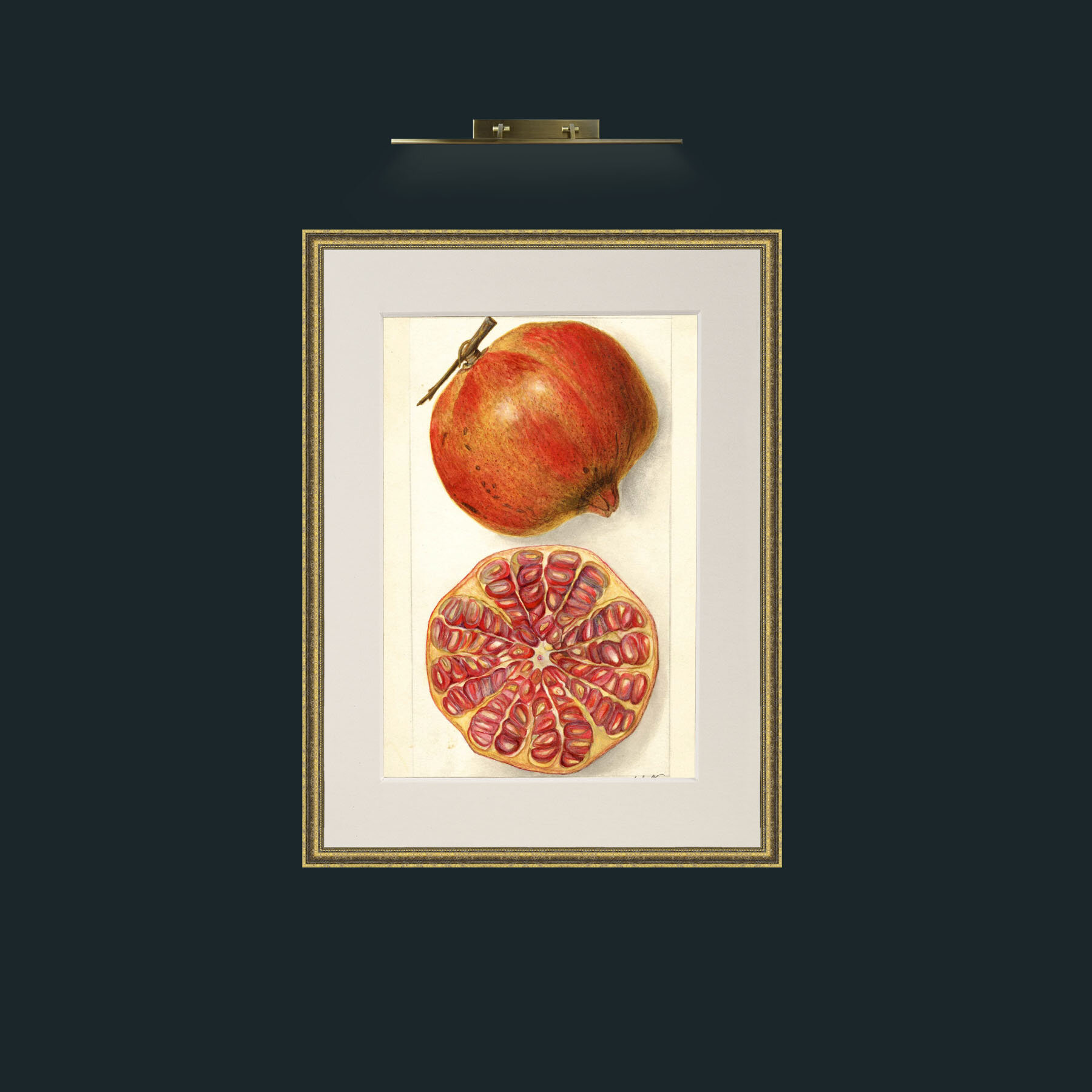 Art-Pomegranate and a half.jpg-Frame-1TexturedGilt-Mount-1Antique.jpg