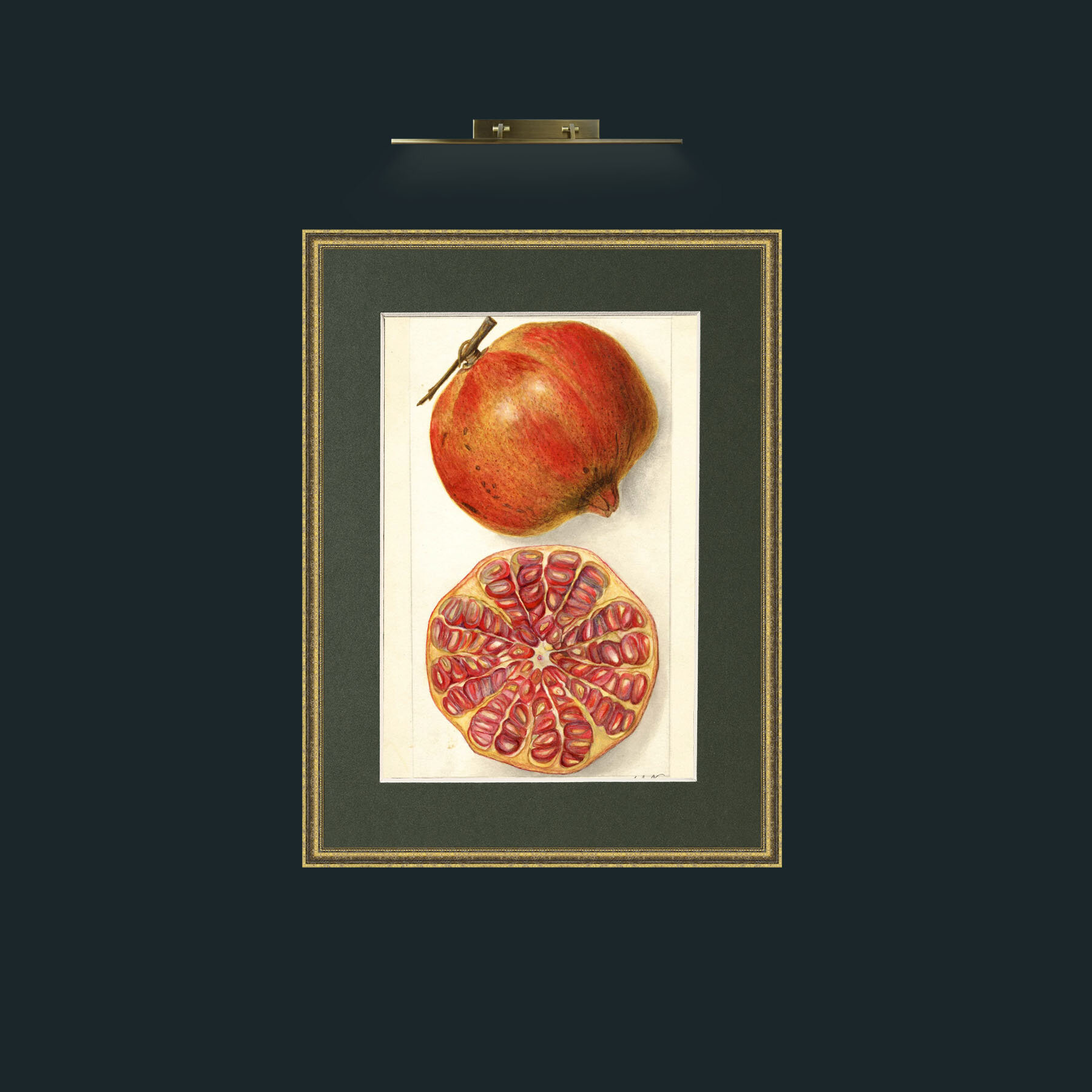 Art-Pomegranate and a half.jpg-Frame-1TexturedGilt-Mount-2Green.jpg
