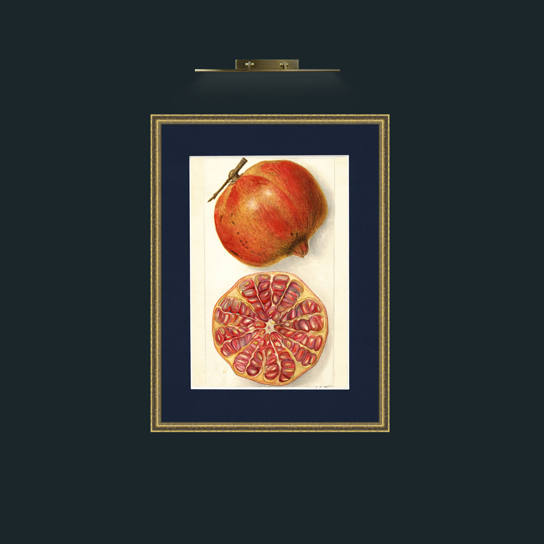 Art-Pomegranate and a half.jpg-Frame-1TexturedGilt-Mount-3Blue.jpg