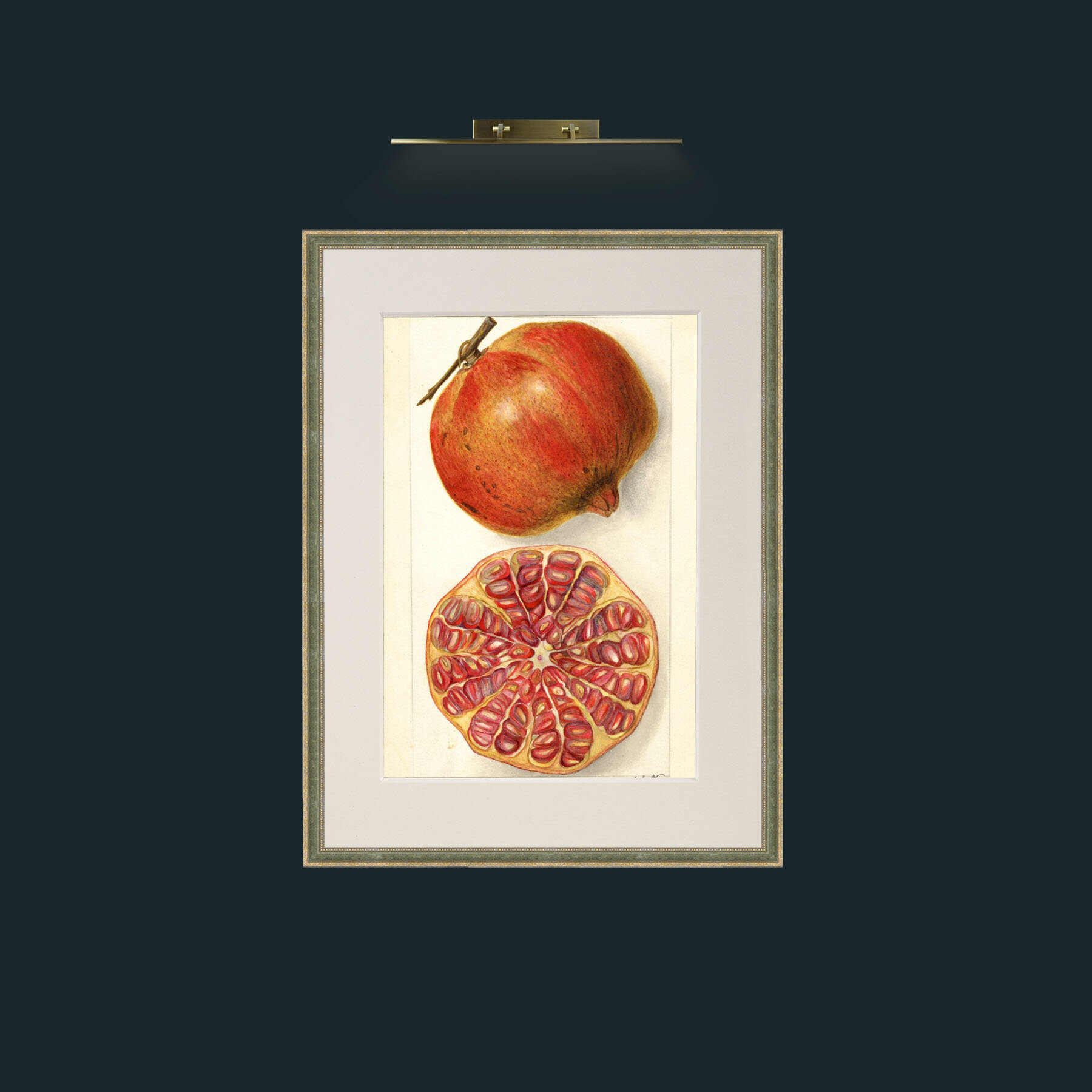 Art-Pomegranate and a half.jpg-Frame-2GreenGiltTextured-Mount-1Antique.jpg