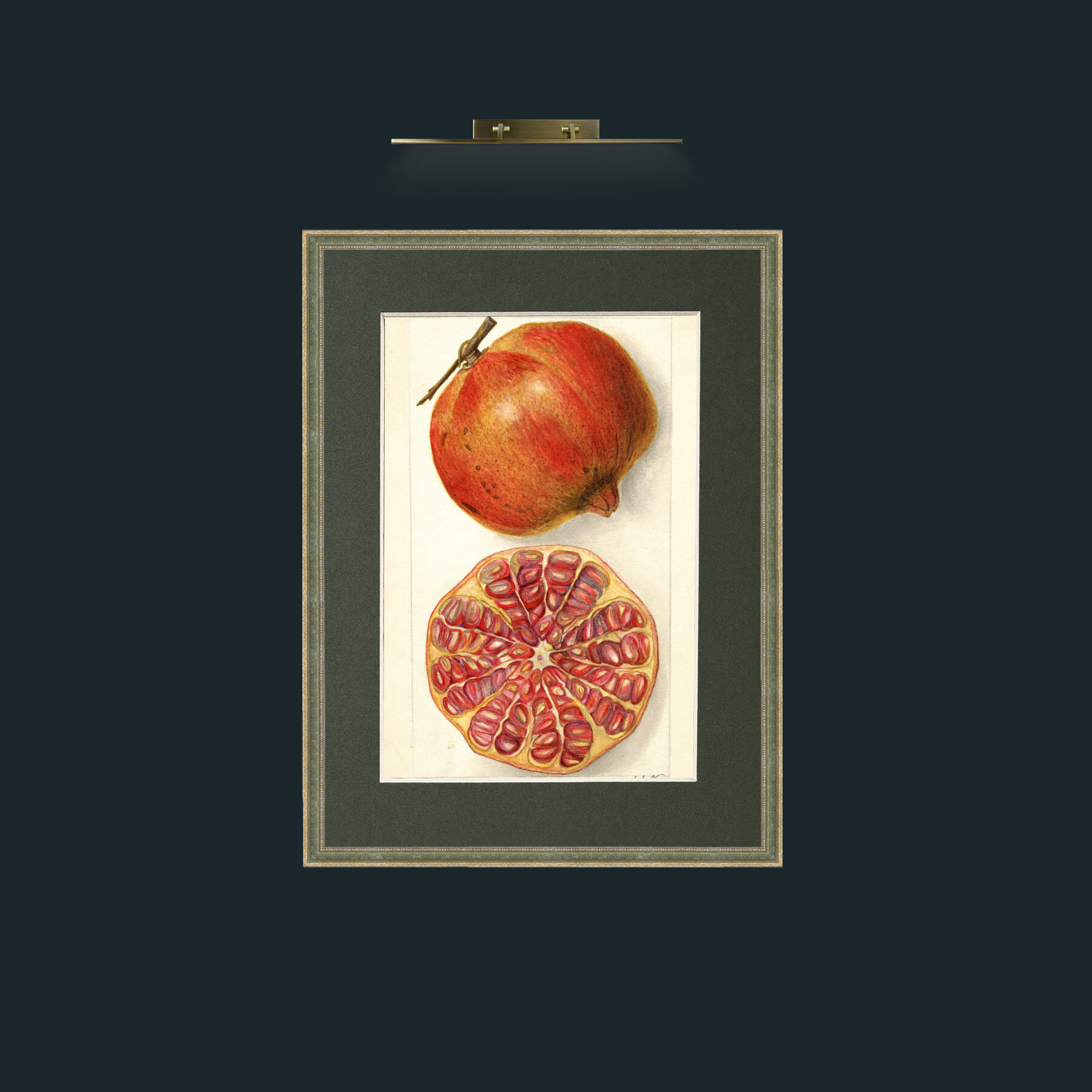 Art-Pomegranate and a half.jpg-Frame-2GreenGiltTextured-Mount-2Green.jpg