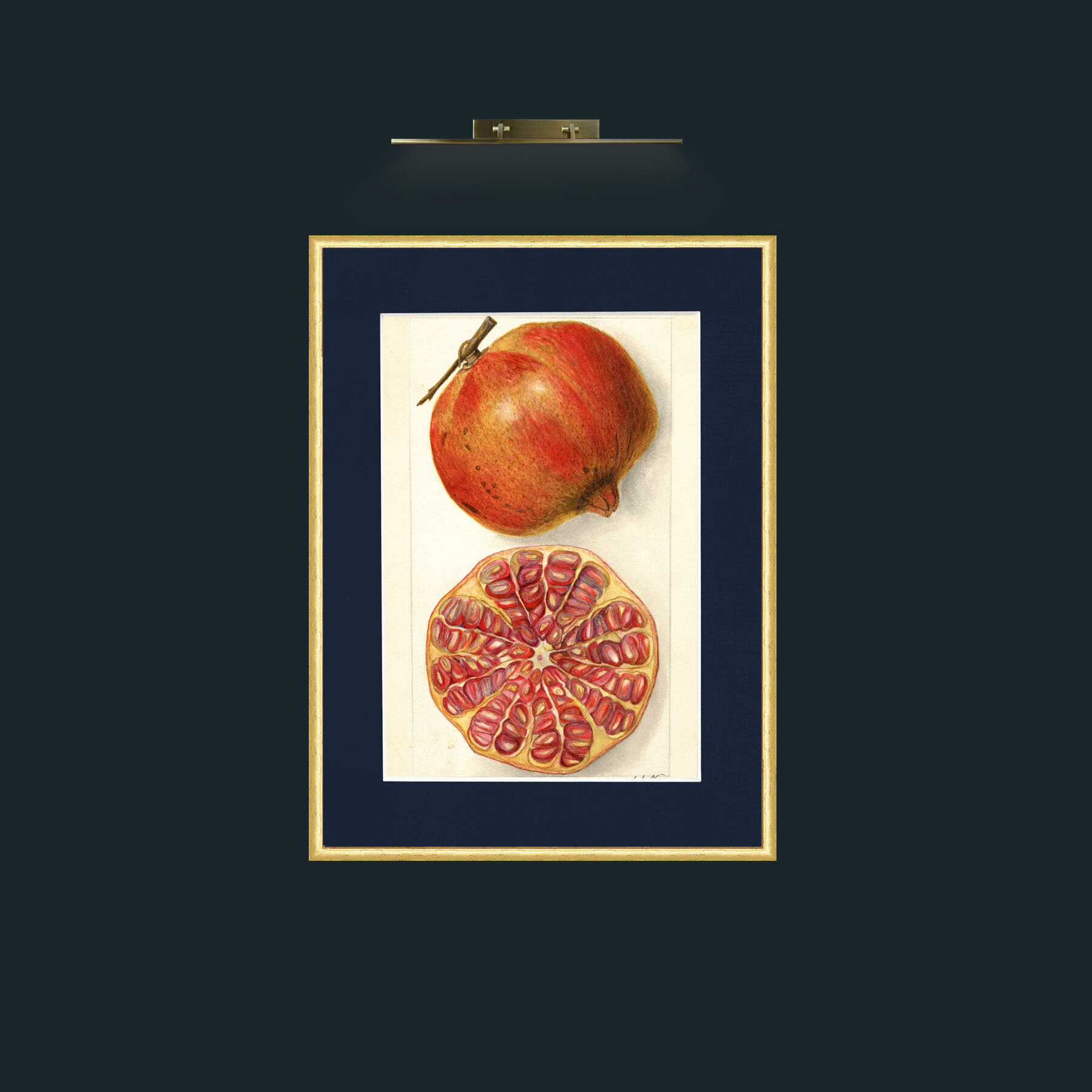 Art-Pomegranate and a half.jpg-Frame-3RoundedGilt-Mount-3Blue.jpg