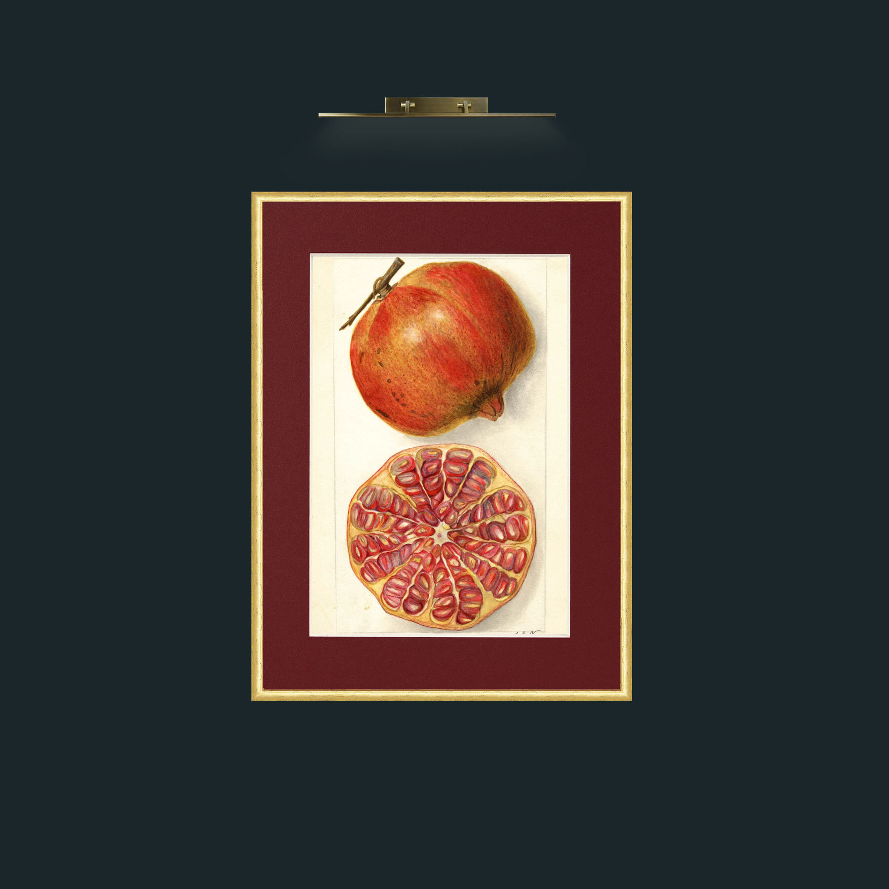 Art-Pomegranate and a half.jpg-Frame-3RoundedGilt-Mount-4Red.jpg